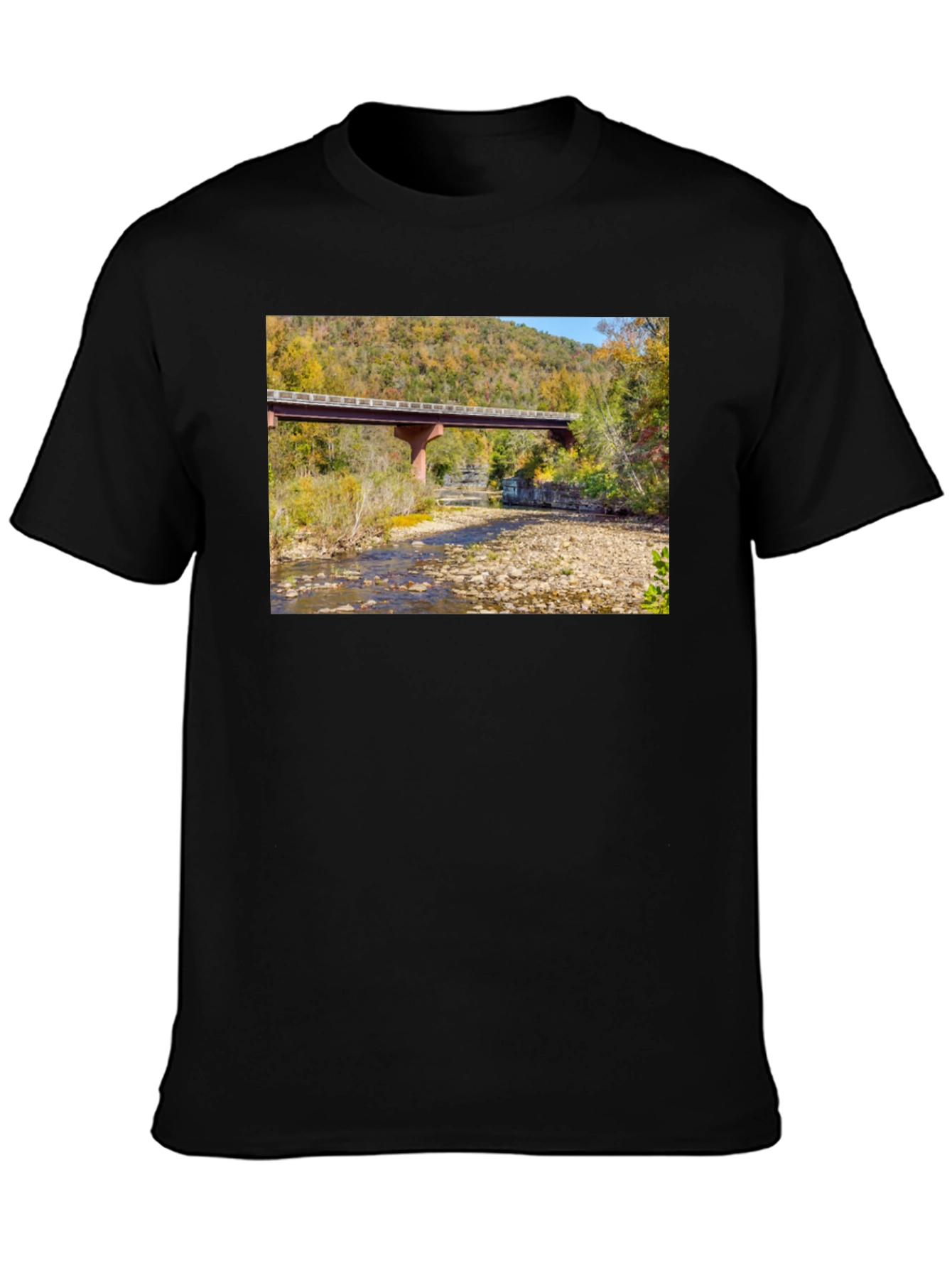 Black Nature Bridge Graphic Tee - Black Cotton Blend view 3