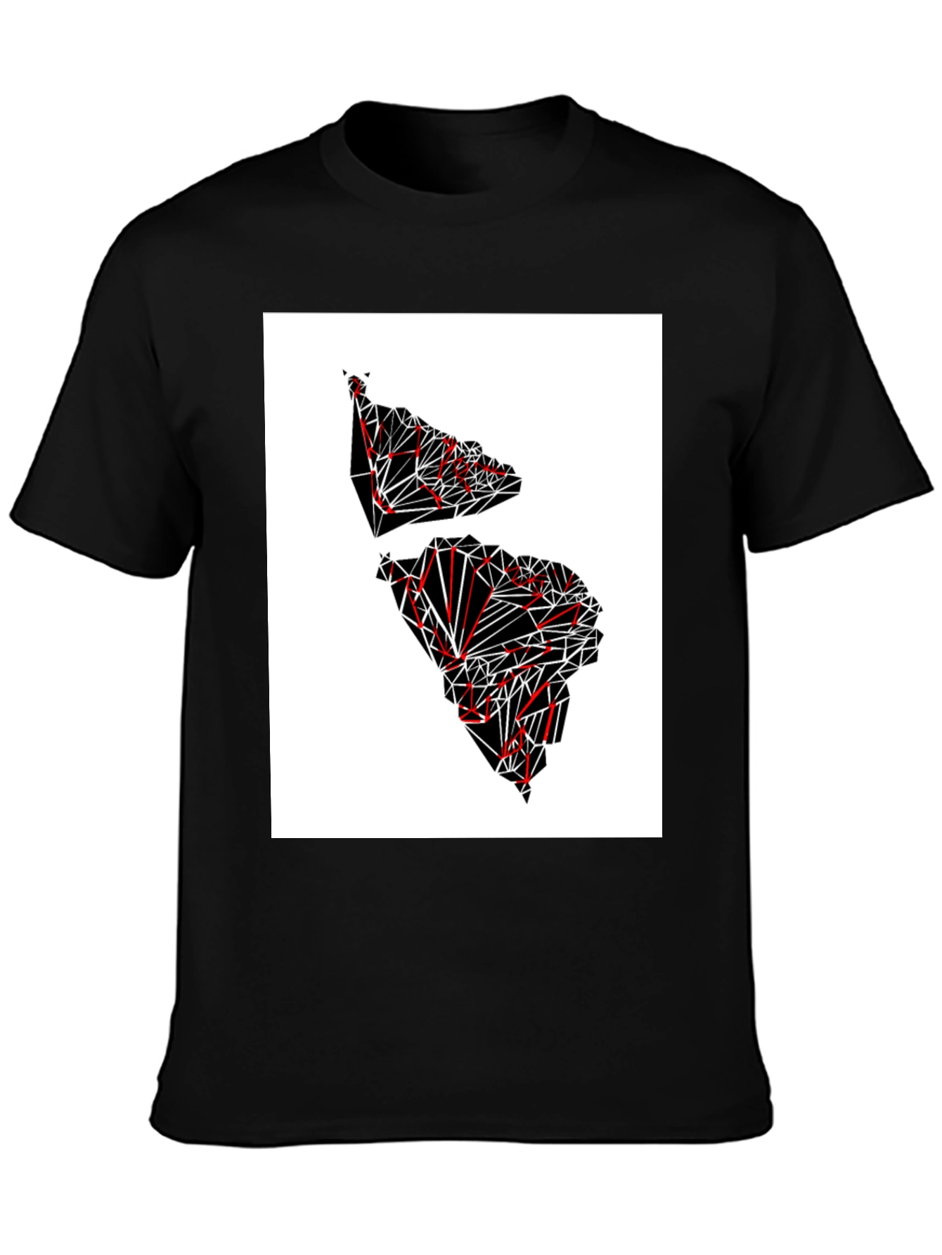 Black Geometric Continent Graphic Tee - Black view 3