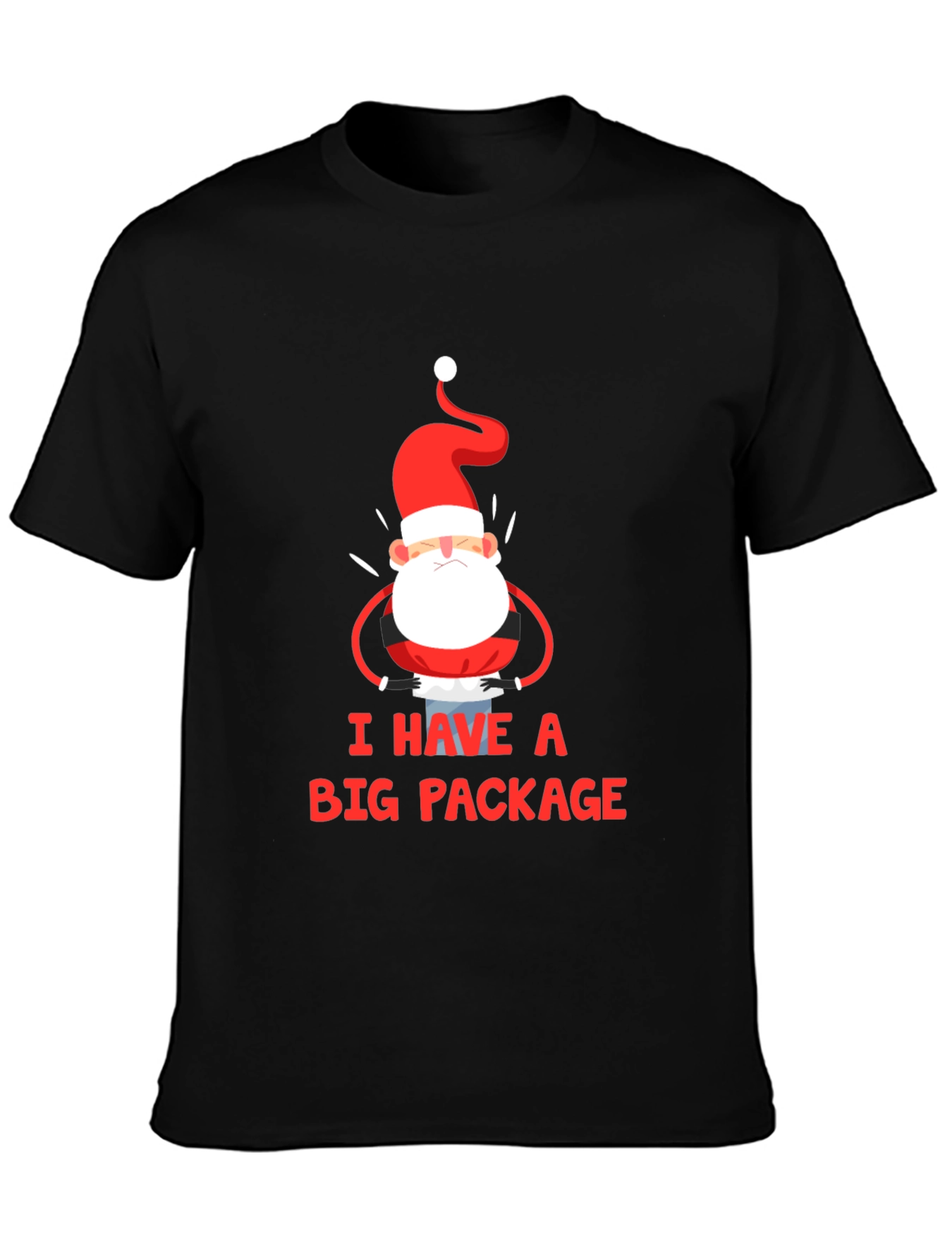 Black I Have a Big Package Graphic Tee Santa Christmas Holiday Shirt view 3