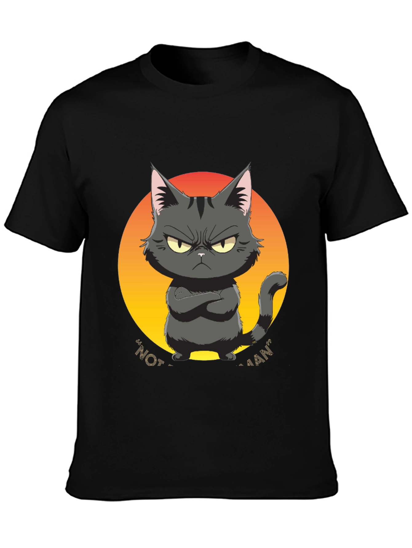 Black Grumpy Cat Graphic Tee - "Not a Fan" Black T-Shirt view 3