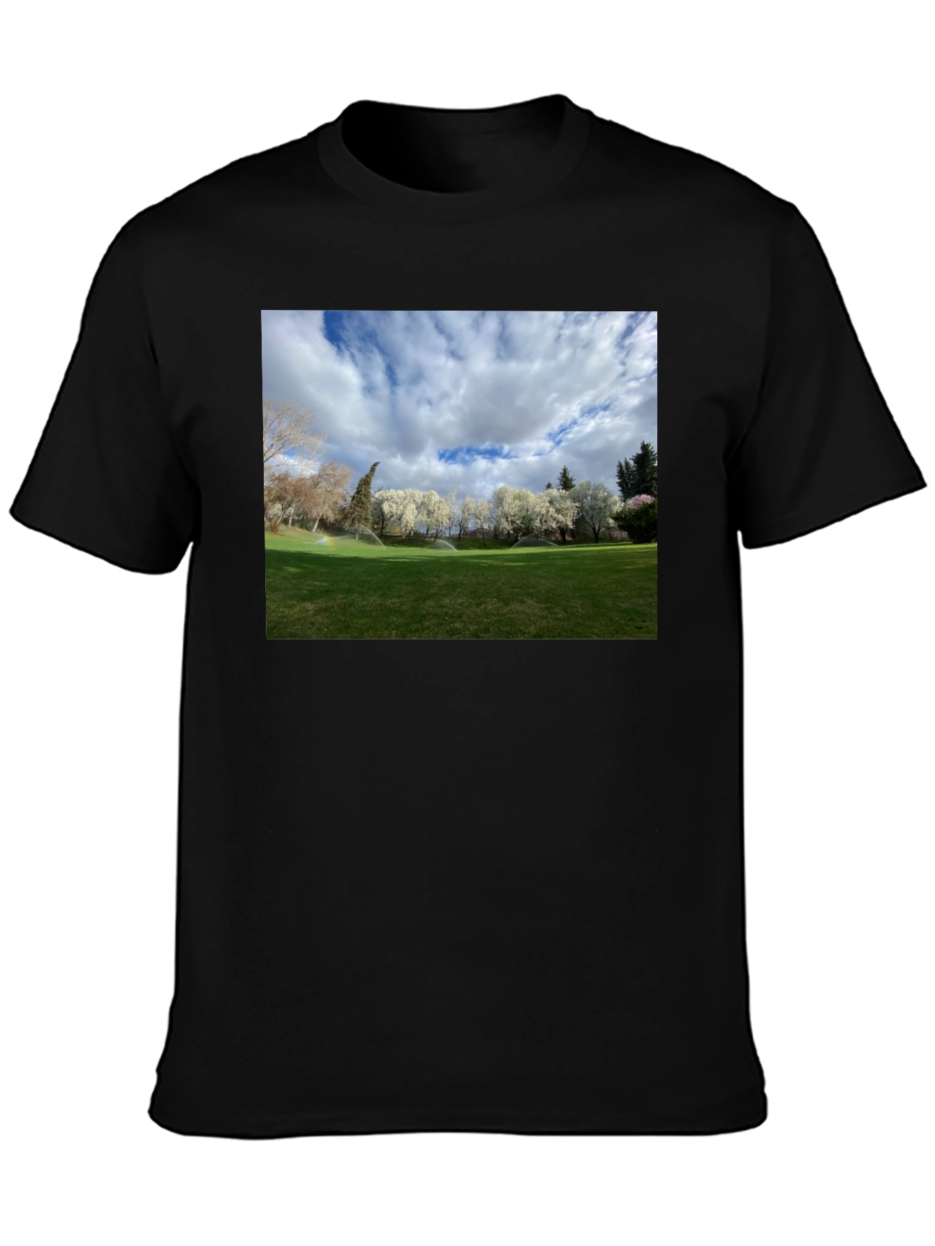 Black Scenic Landscape Graphic Tee - Cotton Comfort view 3