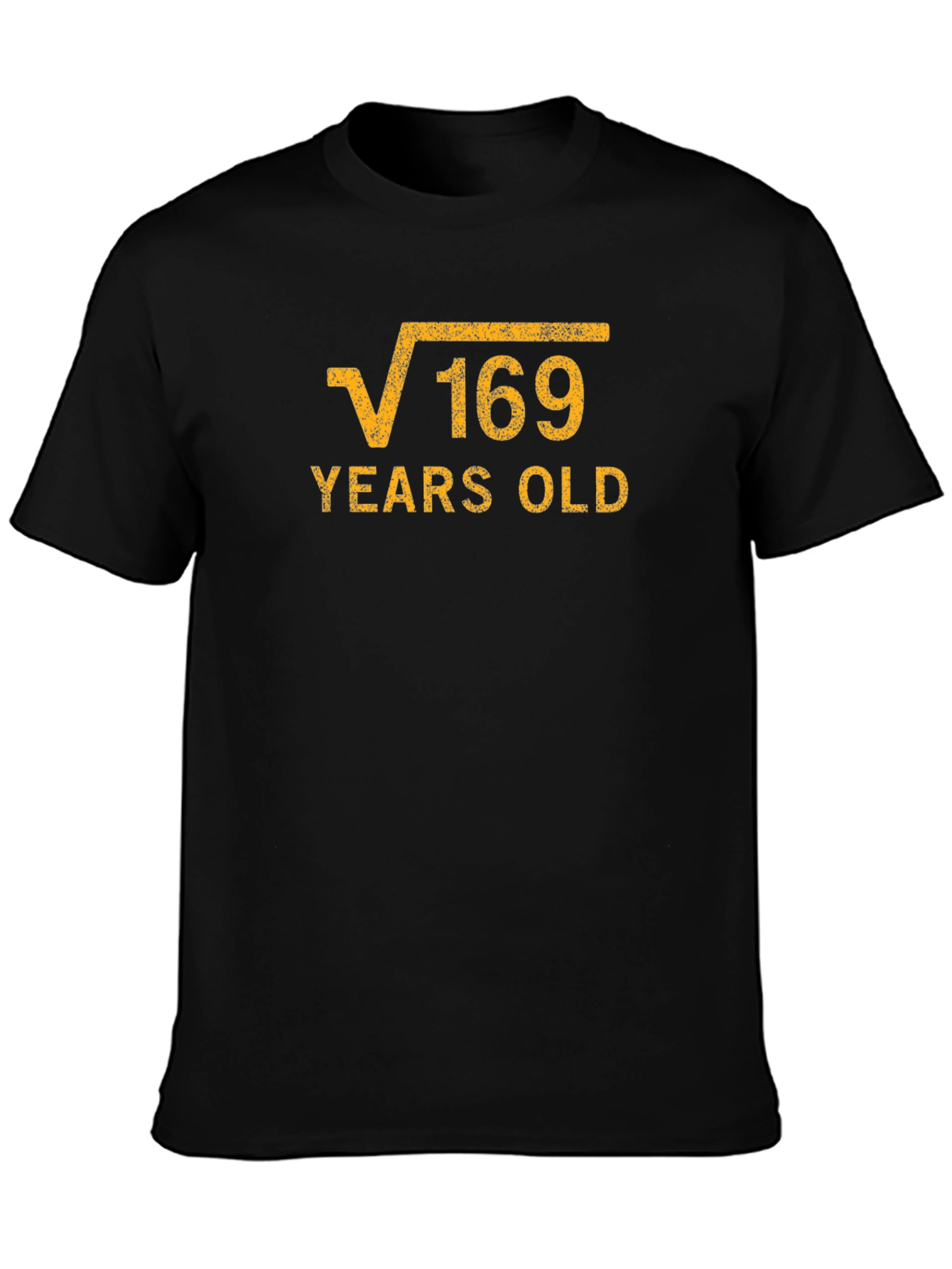 Black Funny 13th Birthday Square Root of 169 T-Shirt view 3