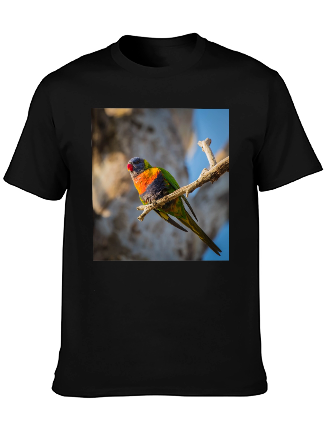 Black Rainbow Lorikeet T-Shirt - Nature Inspired Apparel view 3