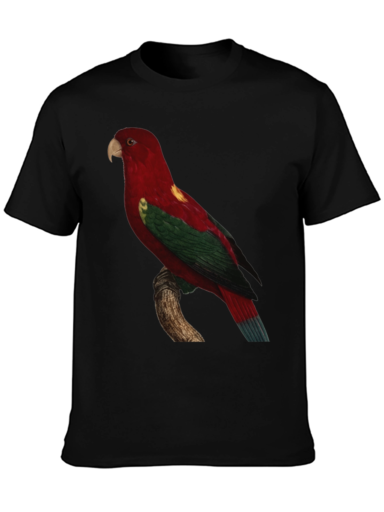 Black Parrot Print Crewneck T-Shirt view 3