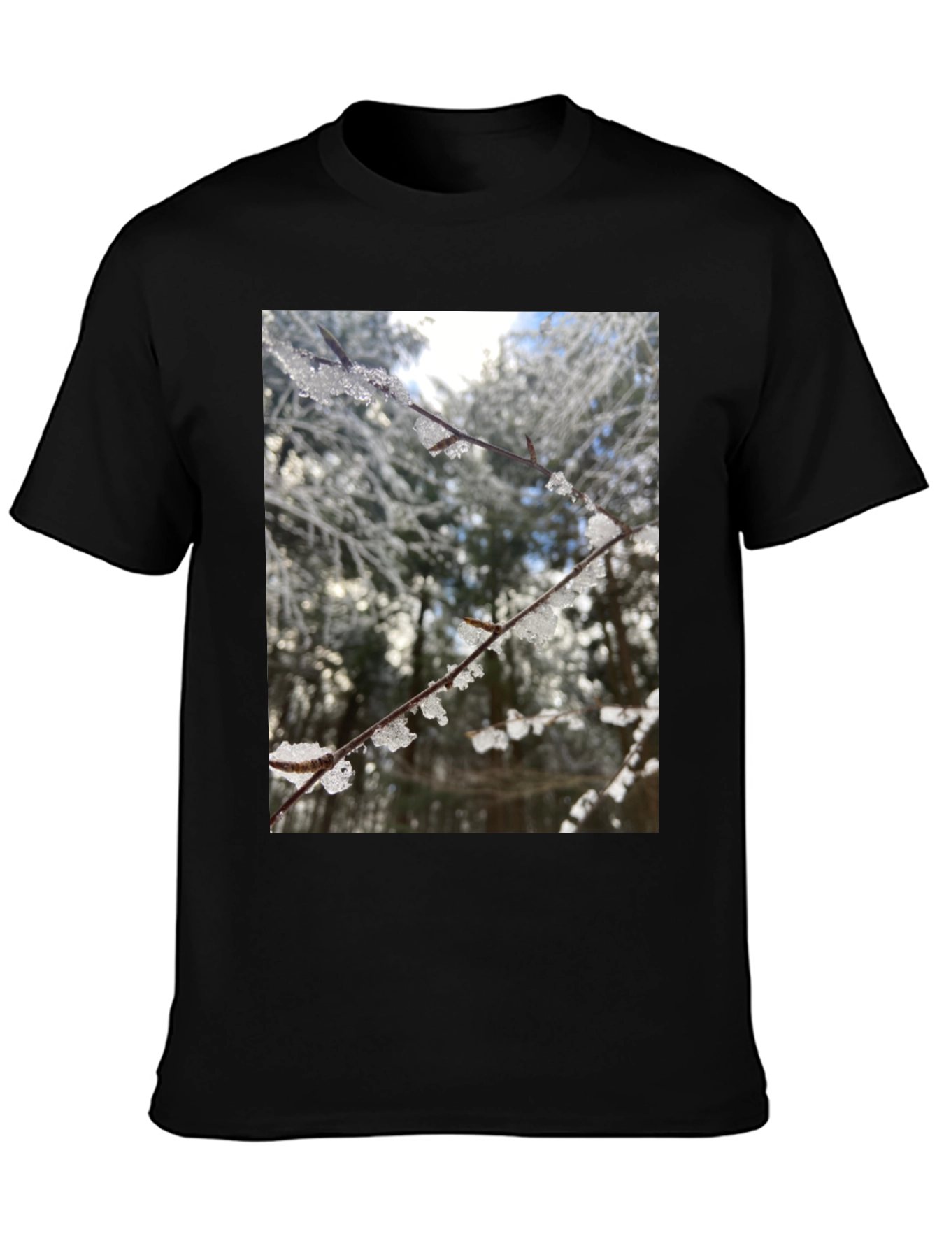 Black Winter Branch Graphic Tee - Nature Inspired Design view 3