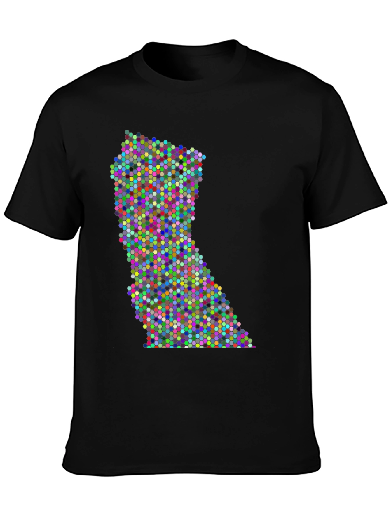 Black Colorful Dot Pattern State Graphic Tee view 3
