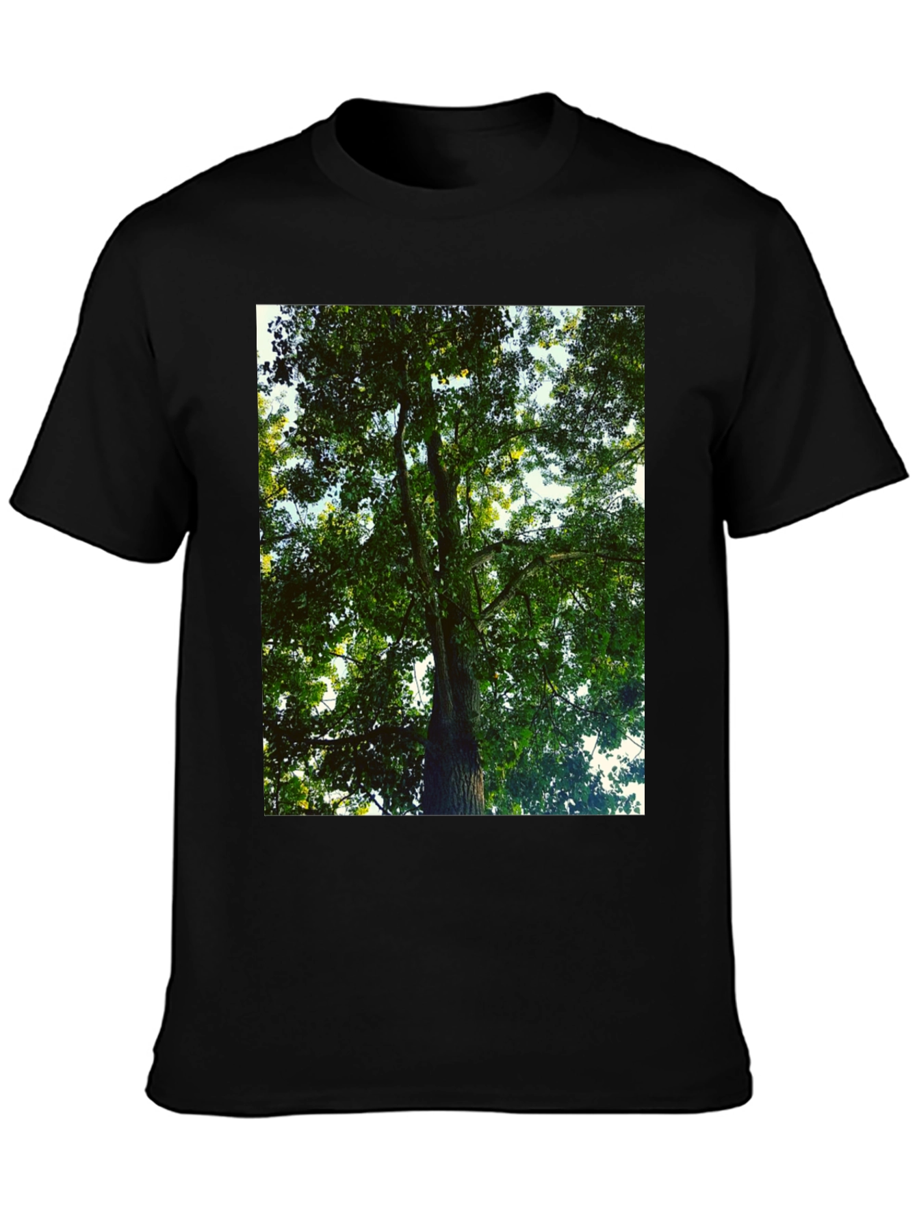 Black Nature Lover's Tree Print Black T-Shirt view 3