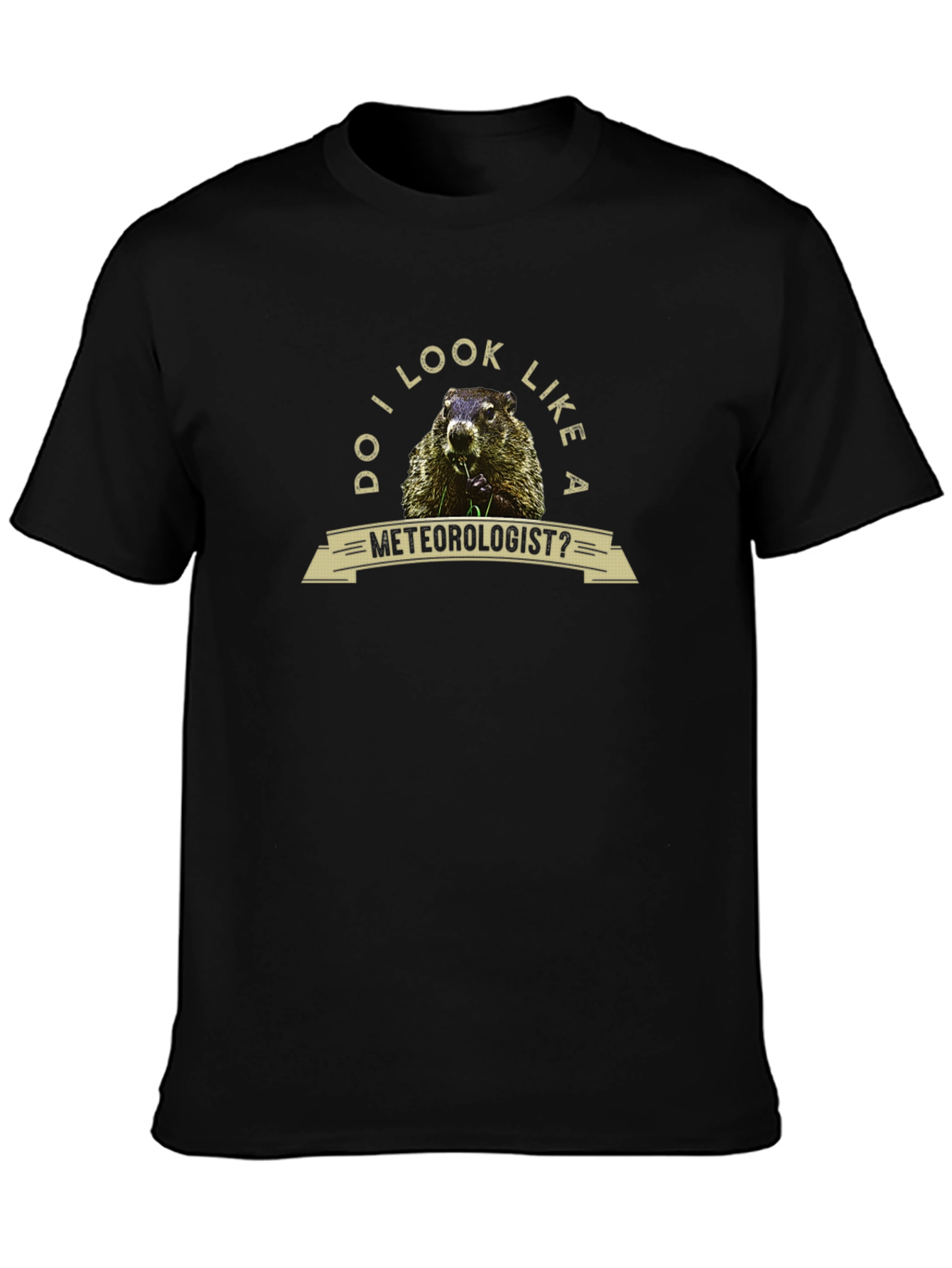 Black Funny Groundhog Meteorologist Graphic Tee view 3