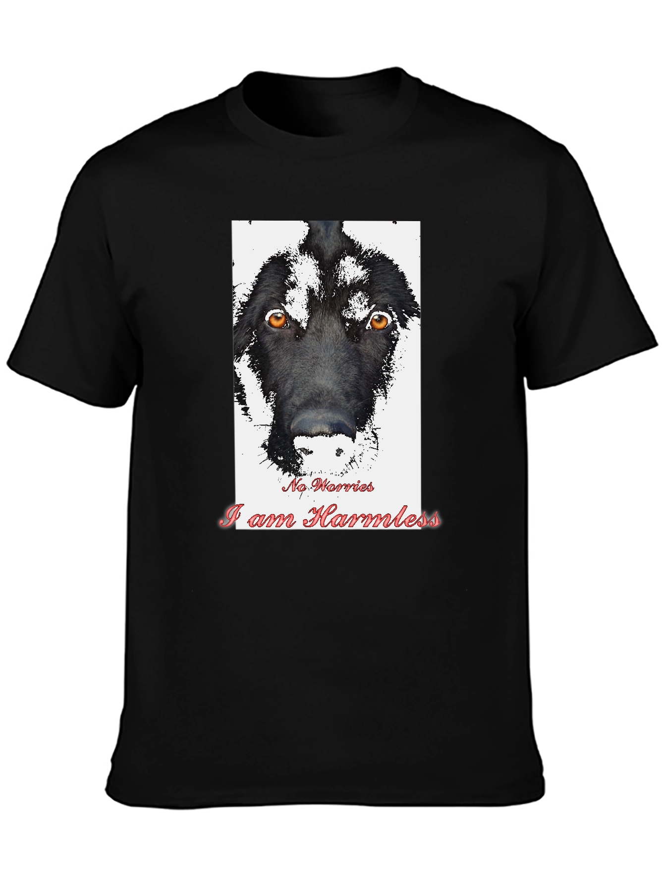 Black Harmless Dog Graphic T-Shirt view 3