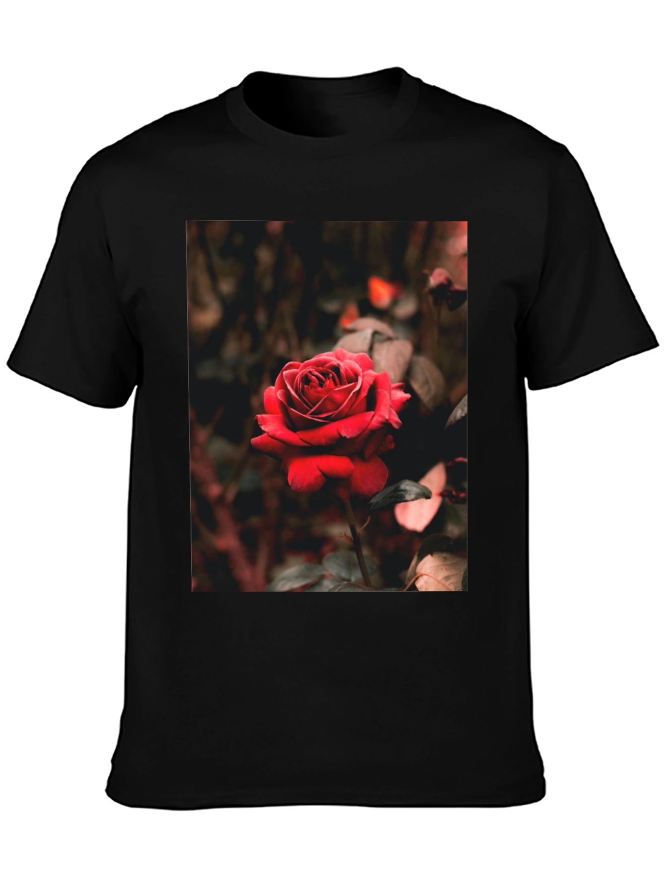 Black Rose Graphic Tee - Black Cotton T-Shirt view 3
