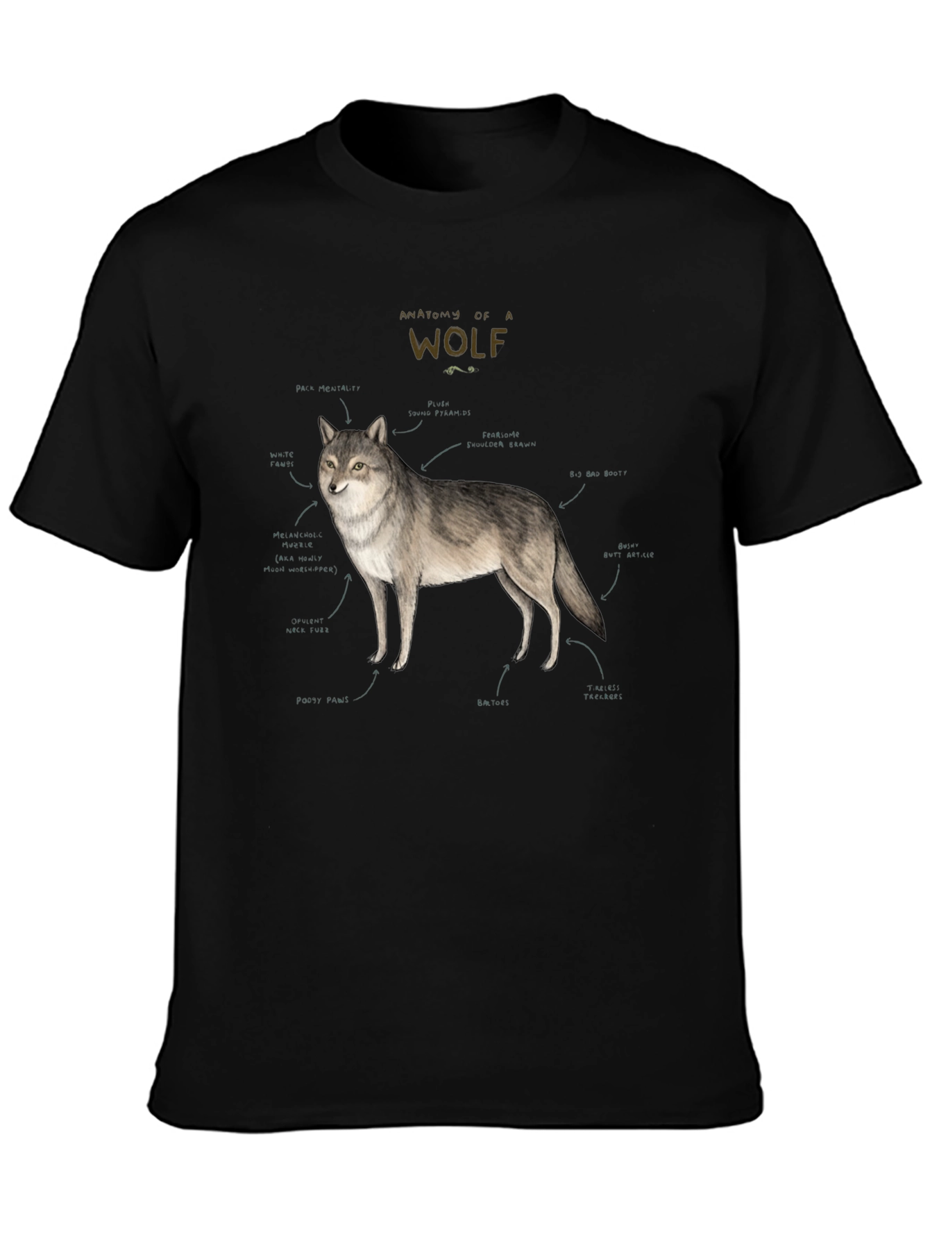 Black Anatomy of a Wolf Graphic T-Shirt view 3
