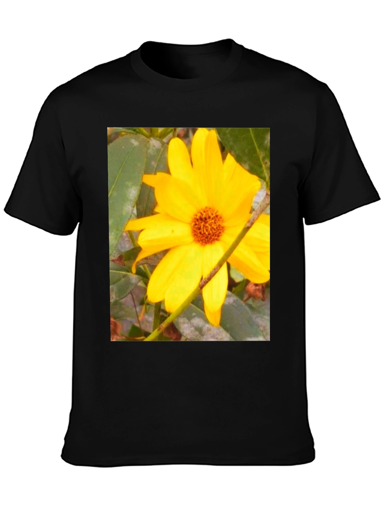 Black Sunflower Print Black T-Shirt view 3