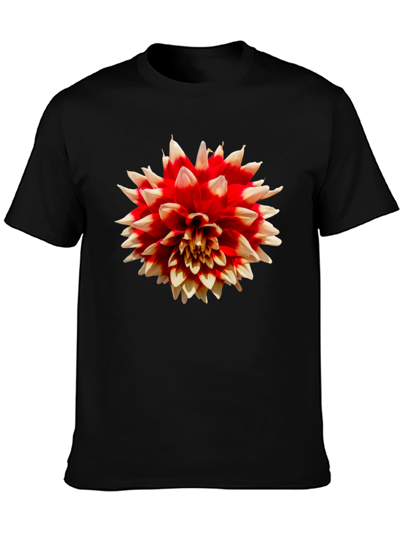 Black Floral Print Black T-Shirt - Casual Wear view 3