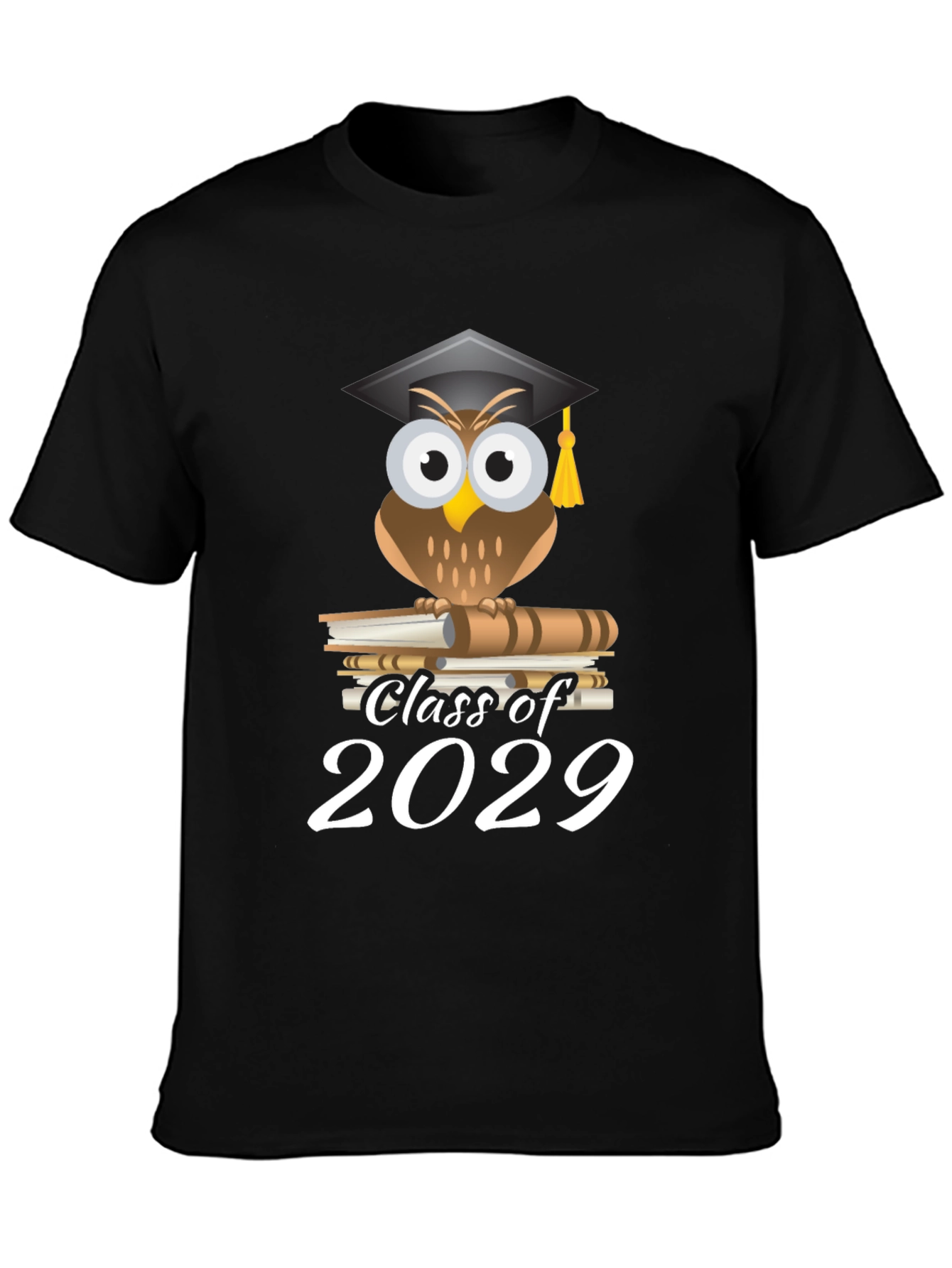 Black Class of 2029 Owl Graduation T-Shirt view 3
