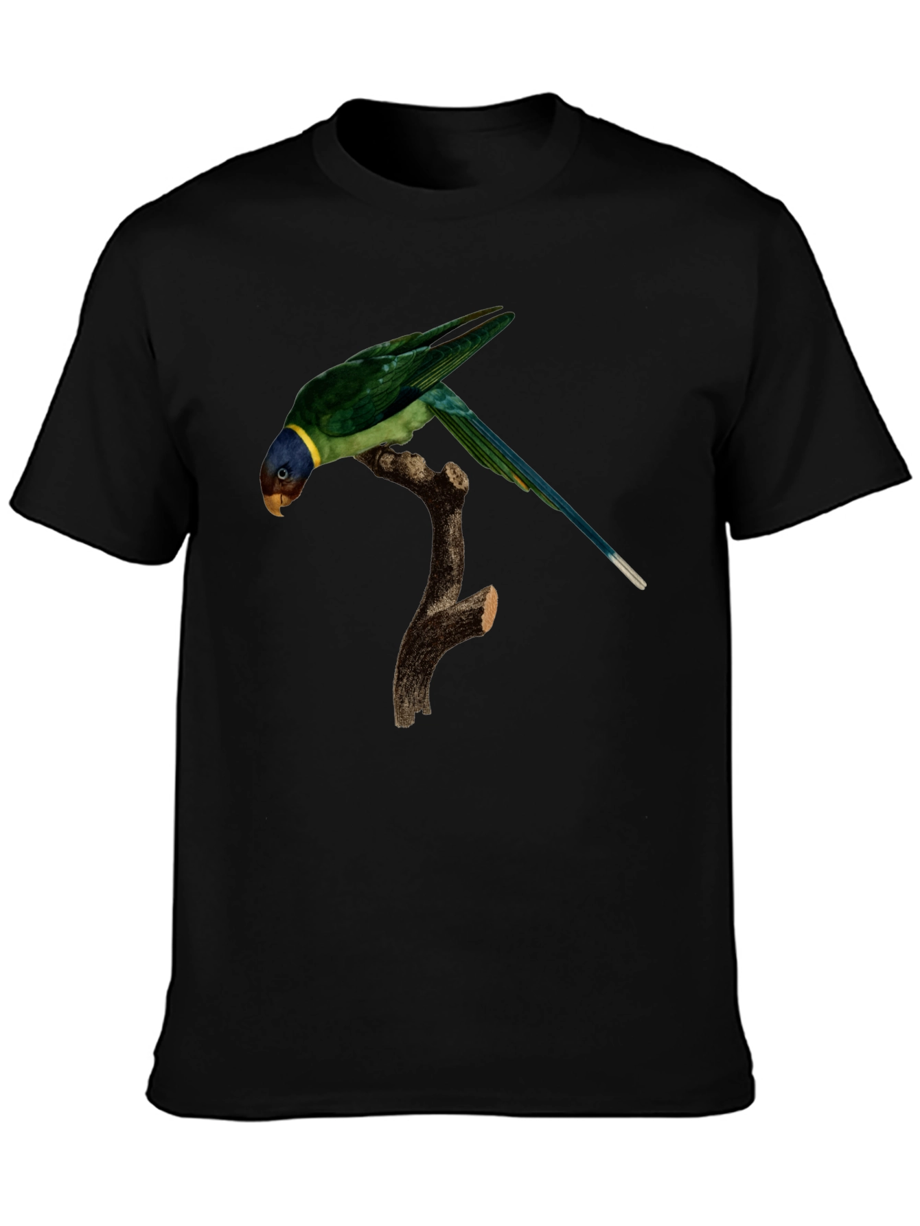 Parrot Graphic T-Shirt - Unique Bird Print - 3