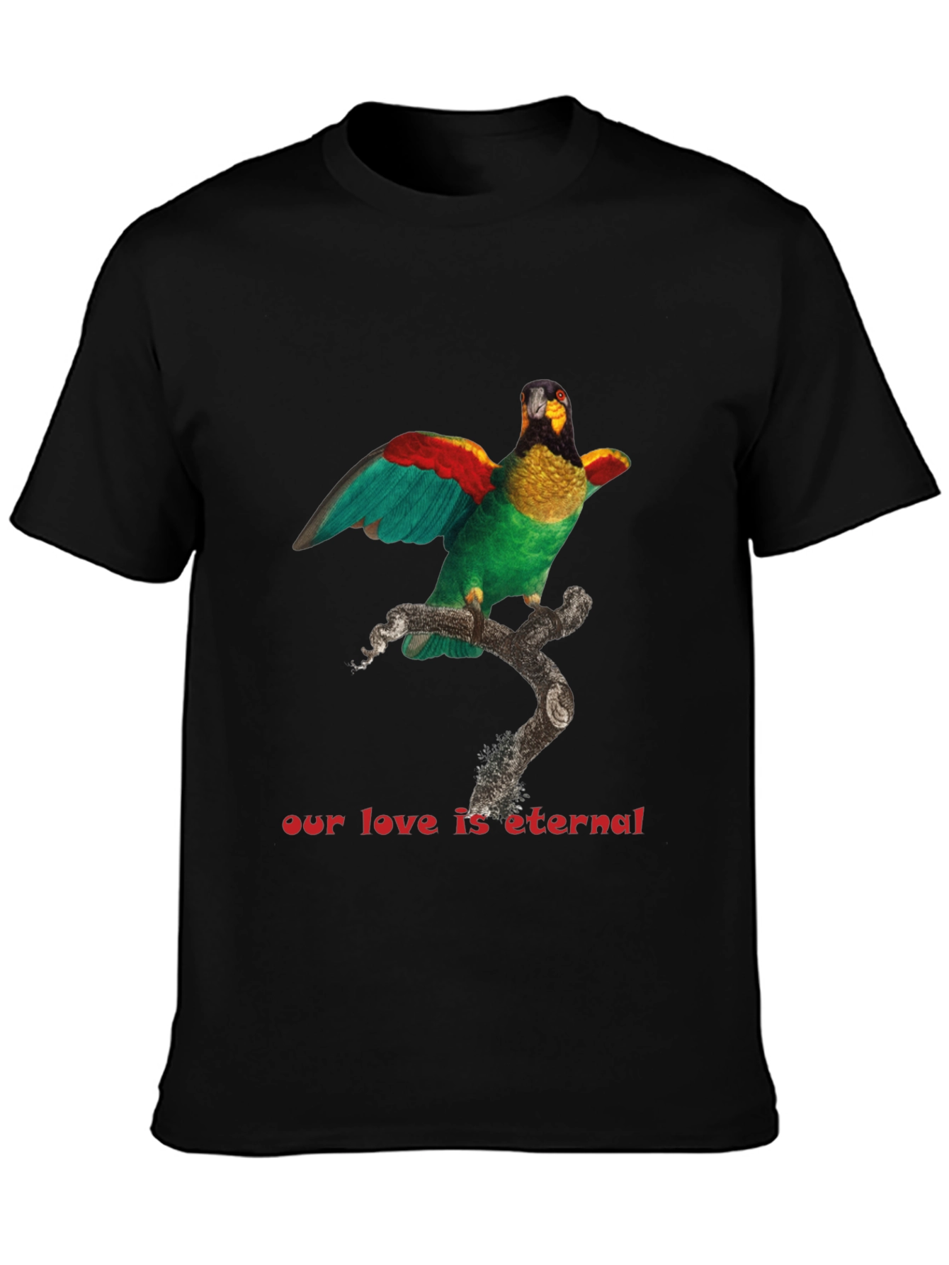 Parrot Graphic T-Shirt: Eternal Love Tee - 3