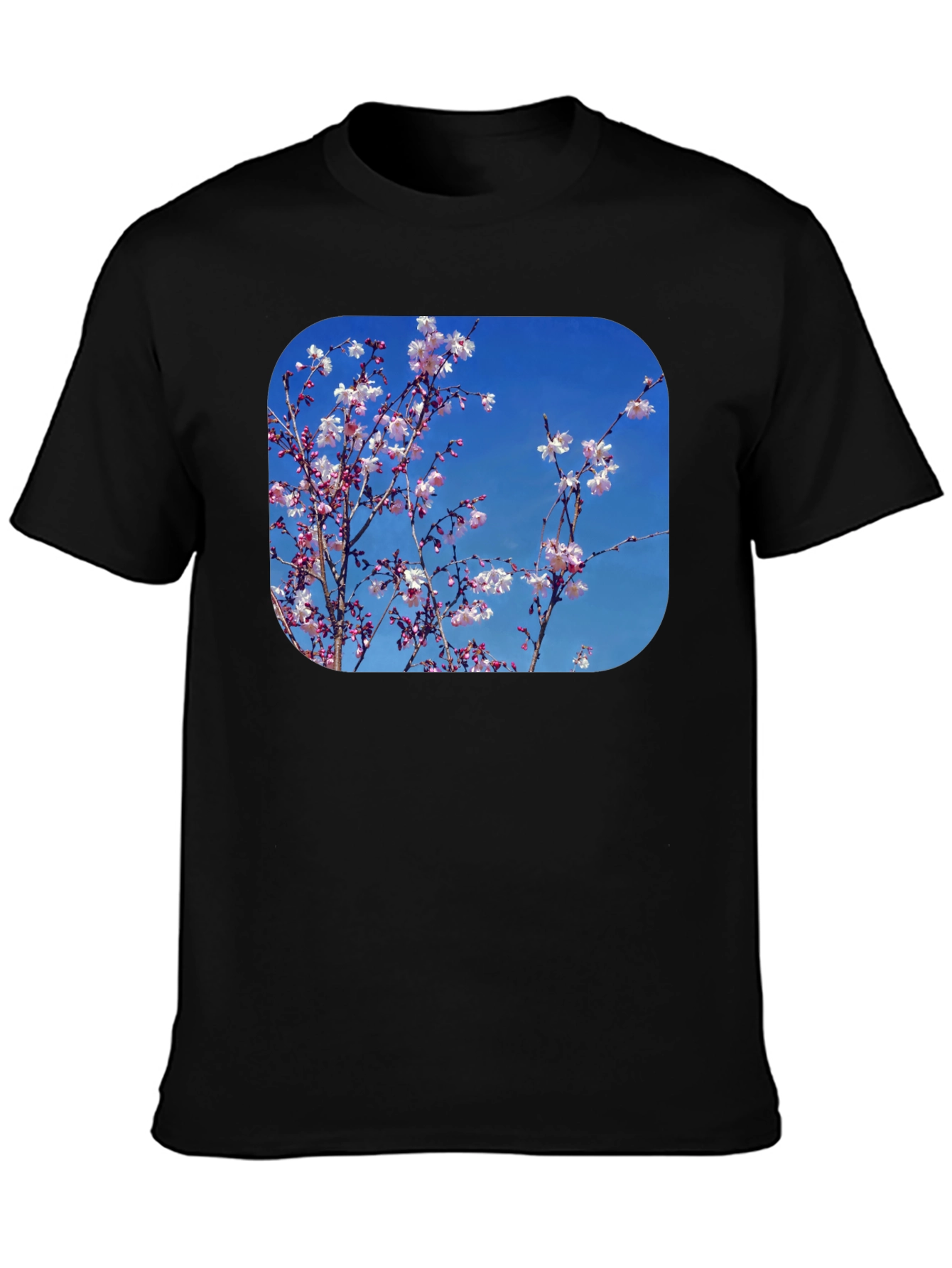 Black Blossom Tee - Black Cotton Blend with Floral Print view 3