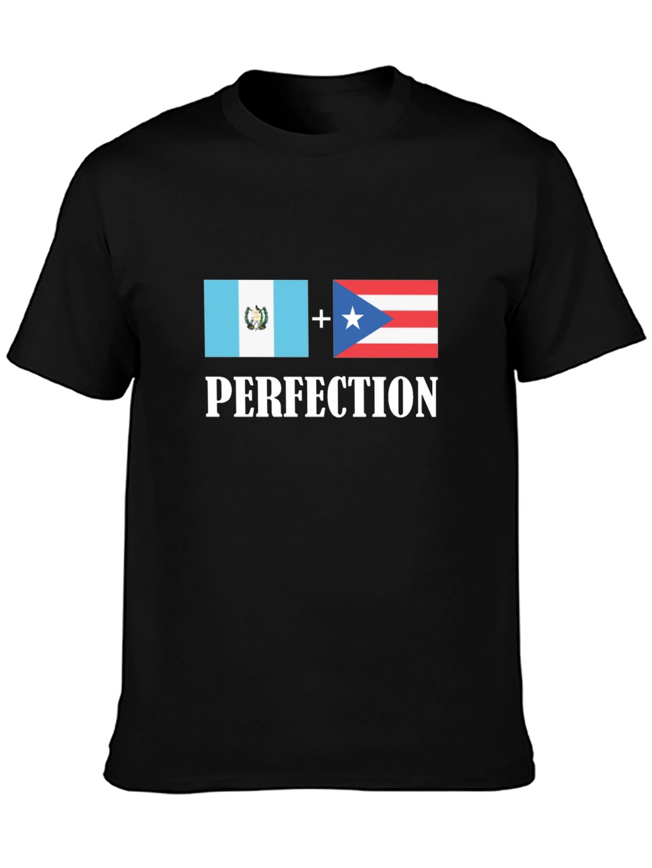Black Guatemala Puerto Rico Perfection T-Shirt view 3