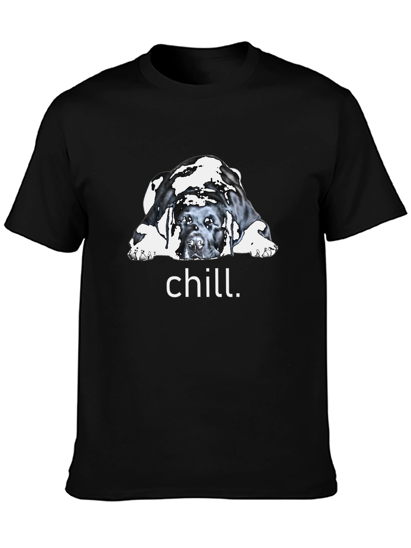 Chill Dog Graphic Tee - Relaxed Fit - 3