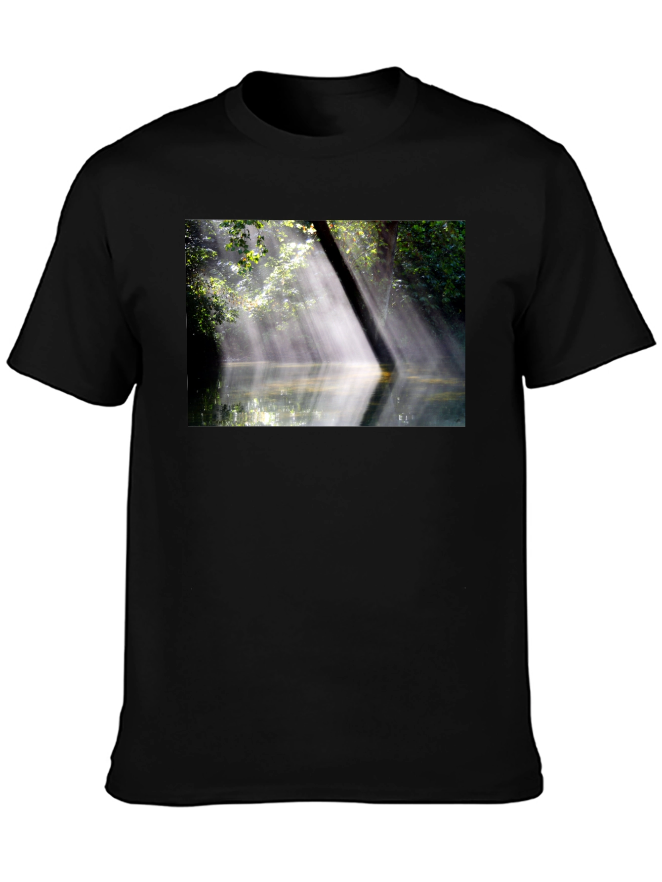Black Nature's Embrace Tee - Sunlit Forest Design view 3