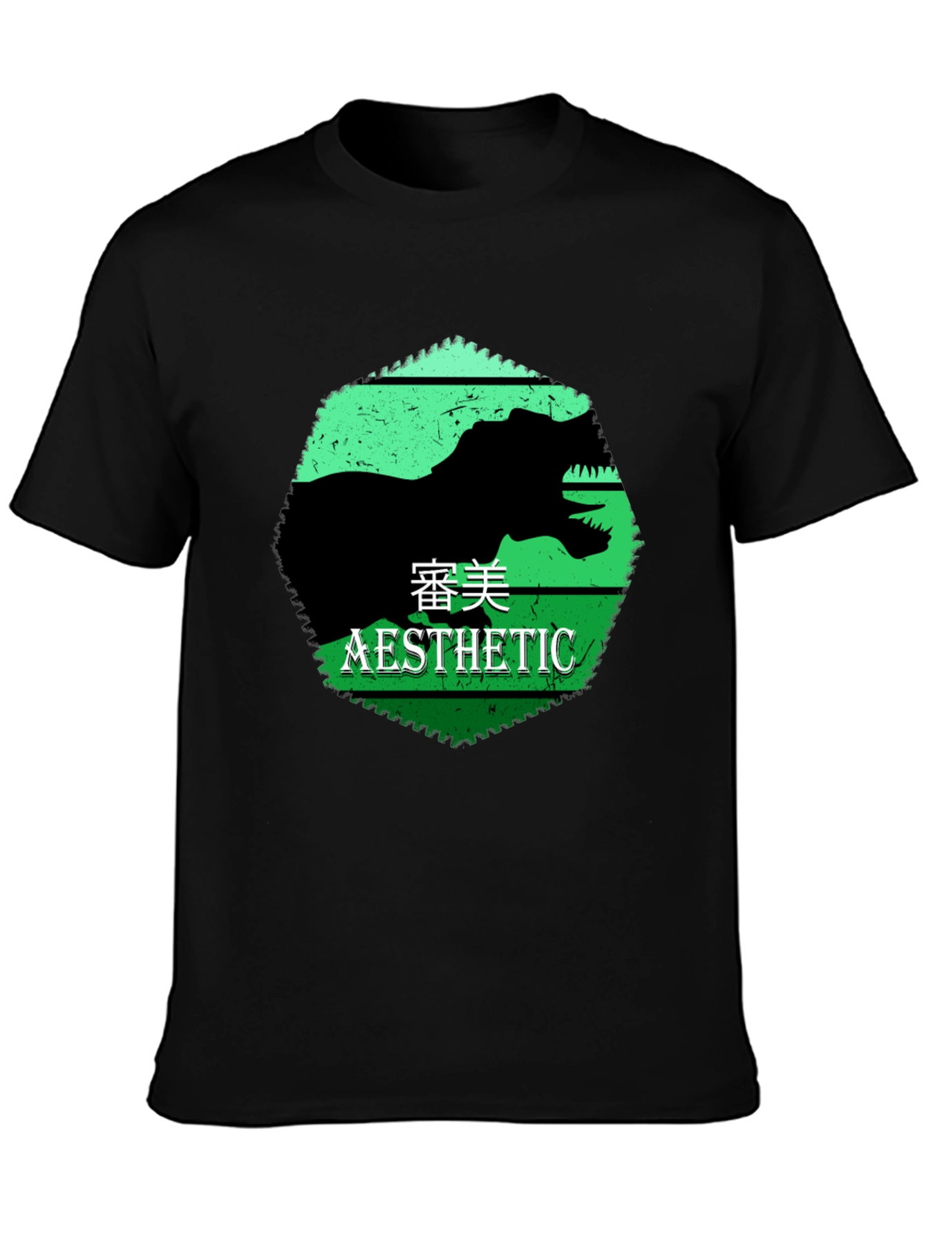 Black Aesthetic Dinosaur Graphic Tee view 3