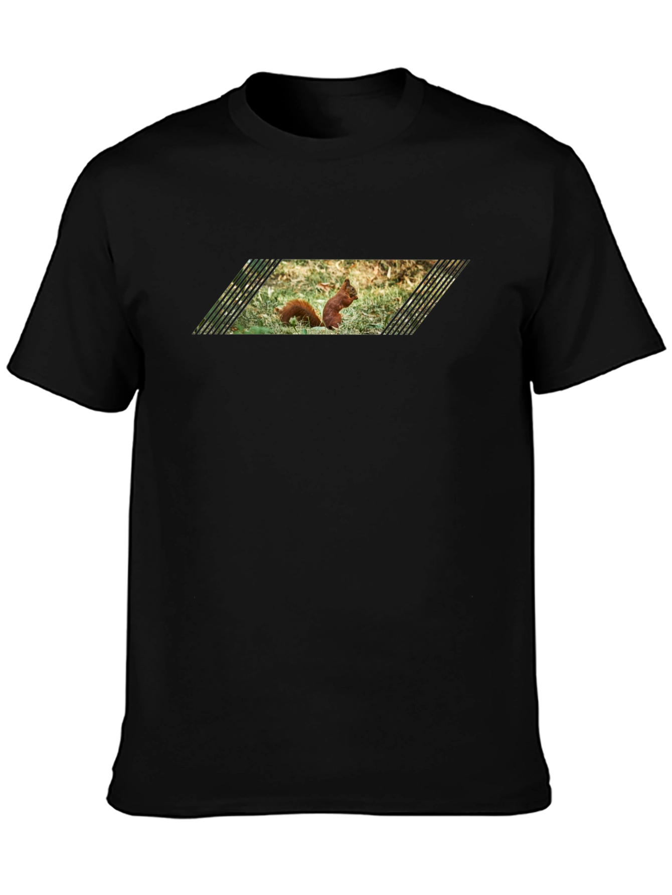 Black Squirrel Graphic Tee - Black Cotton T-Shirt view 3