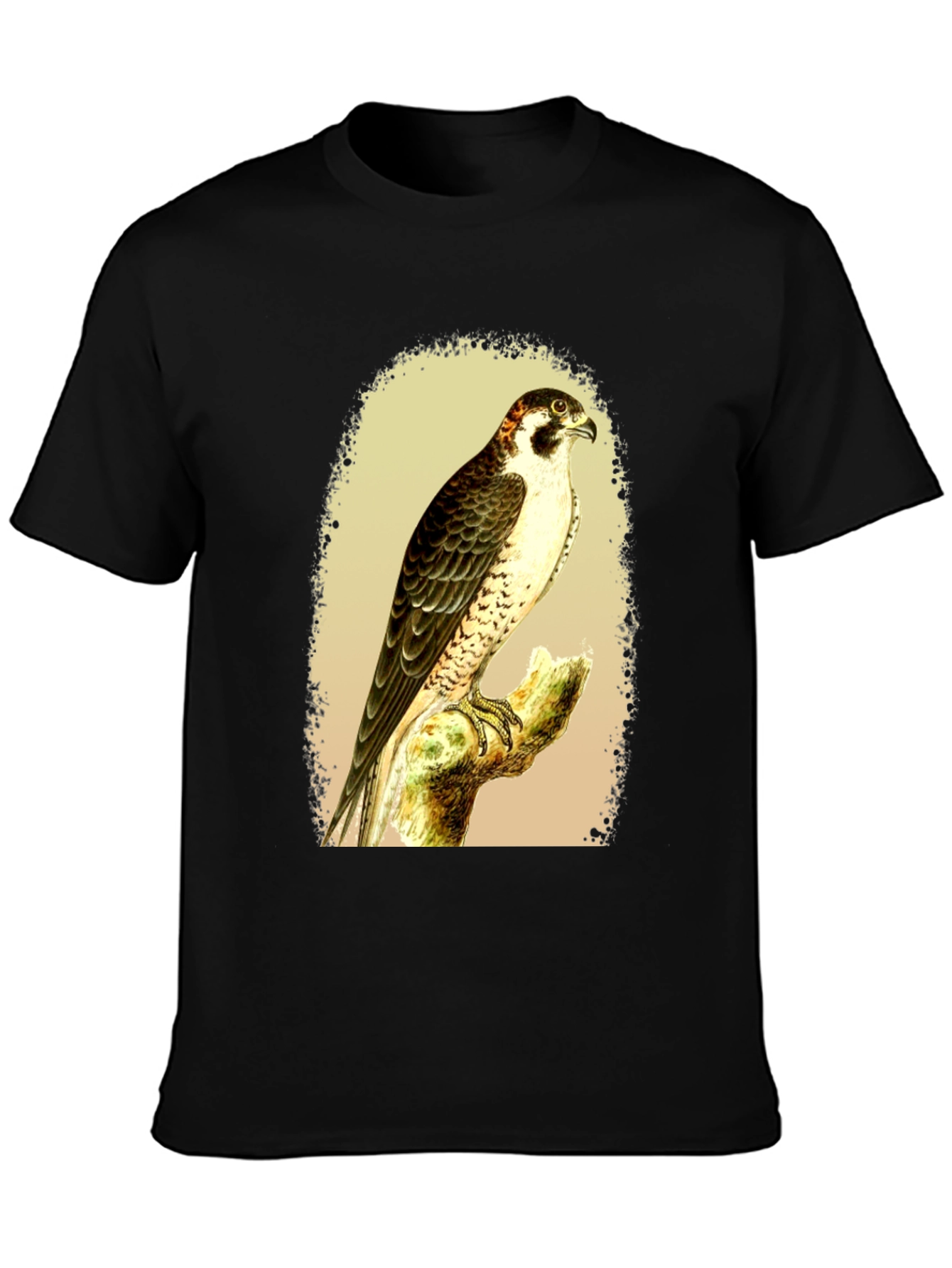 Black Falcon Graphic Tee - Vintage Bird Illustration T-Shirt view 3