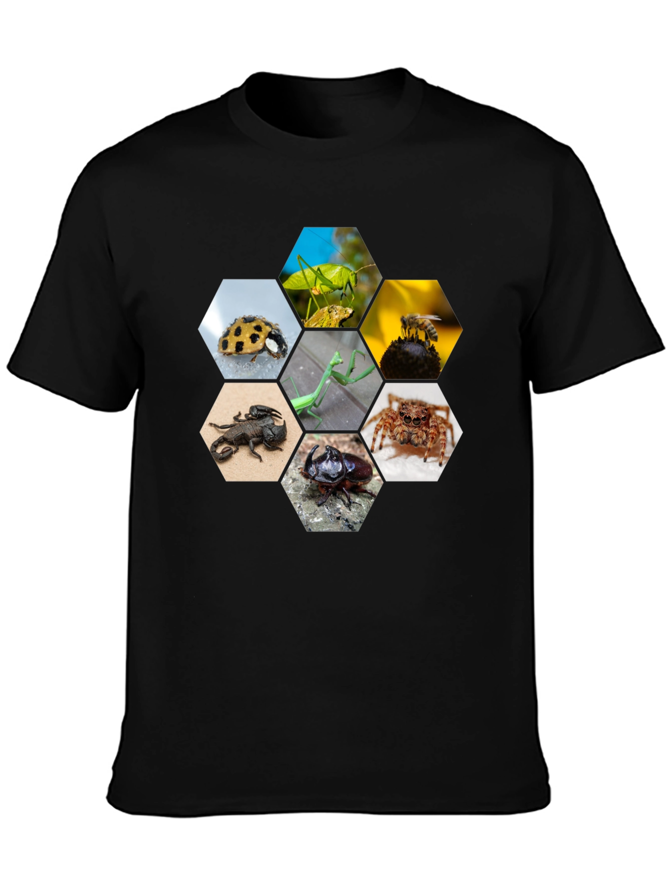 Black Insect Hexagon T-Shirt - Unique Nature Design view 3