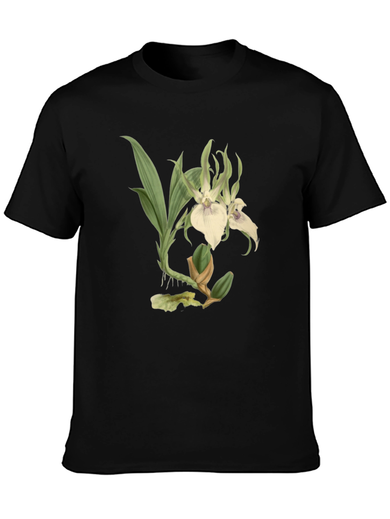 Black Botanical Orchid Graphic Tee - Black Cotton Blend view 3