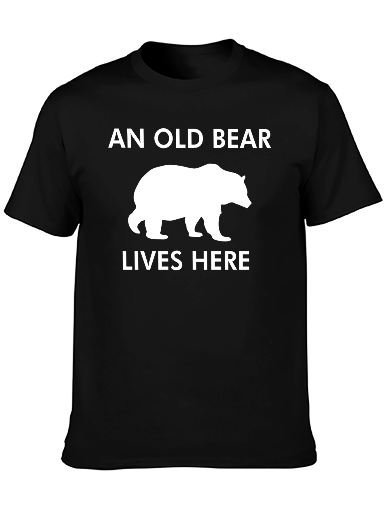 Black An Old Bear Lives Here T-Shirt - Black, Graphic Tee view 3