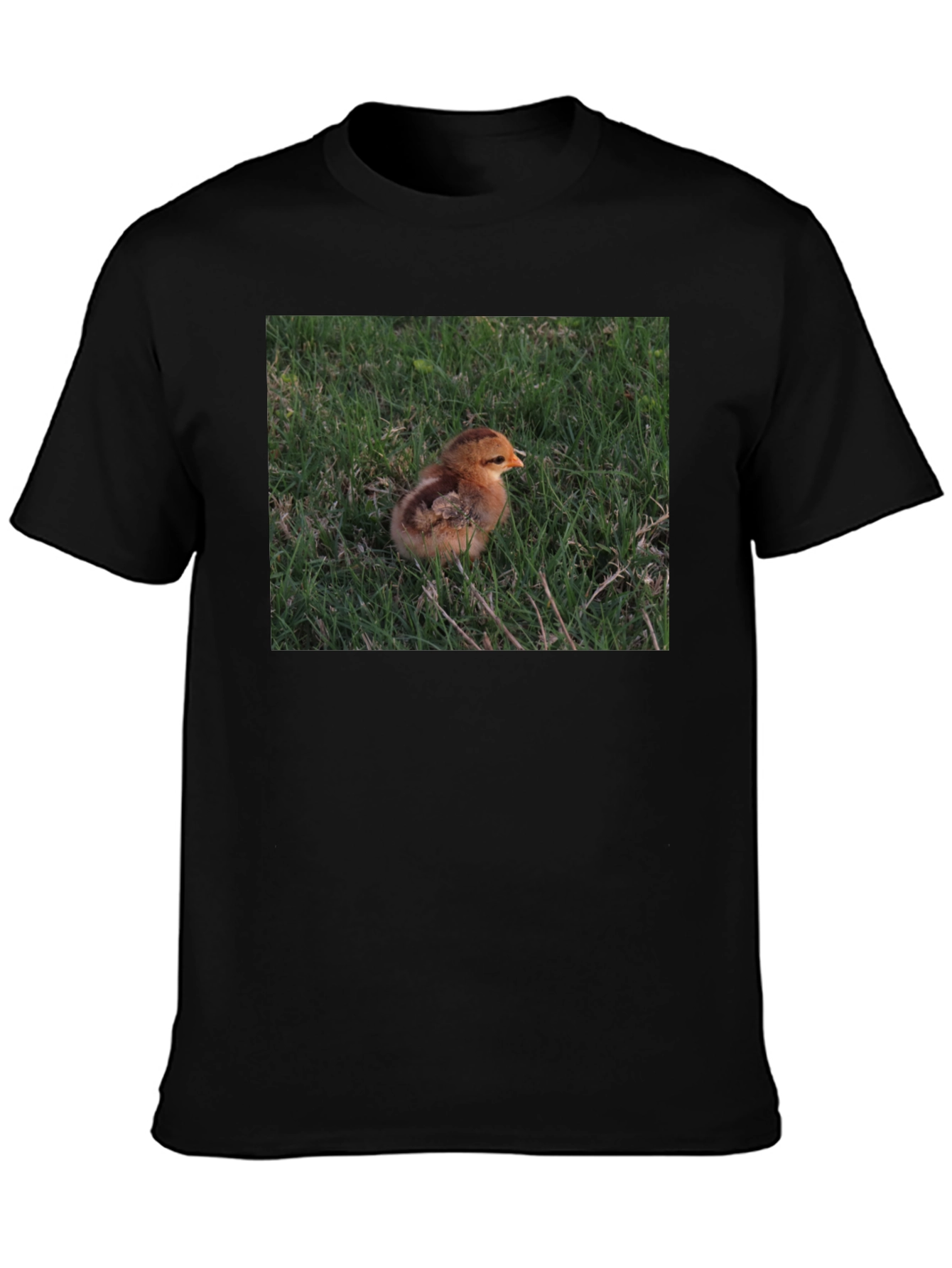 Black Cute Chick in Grass Graphic T-Shirt view 3