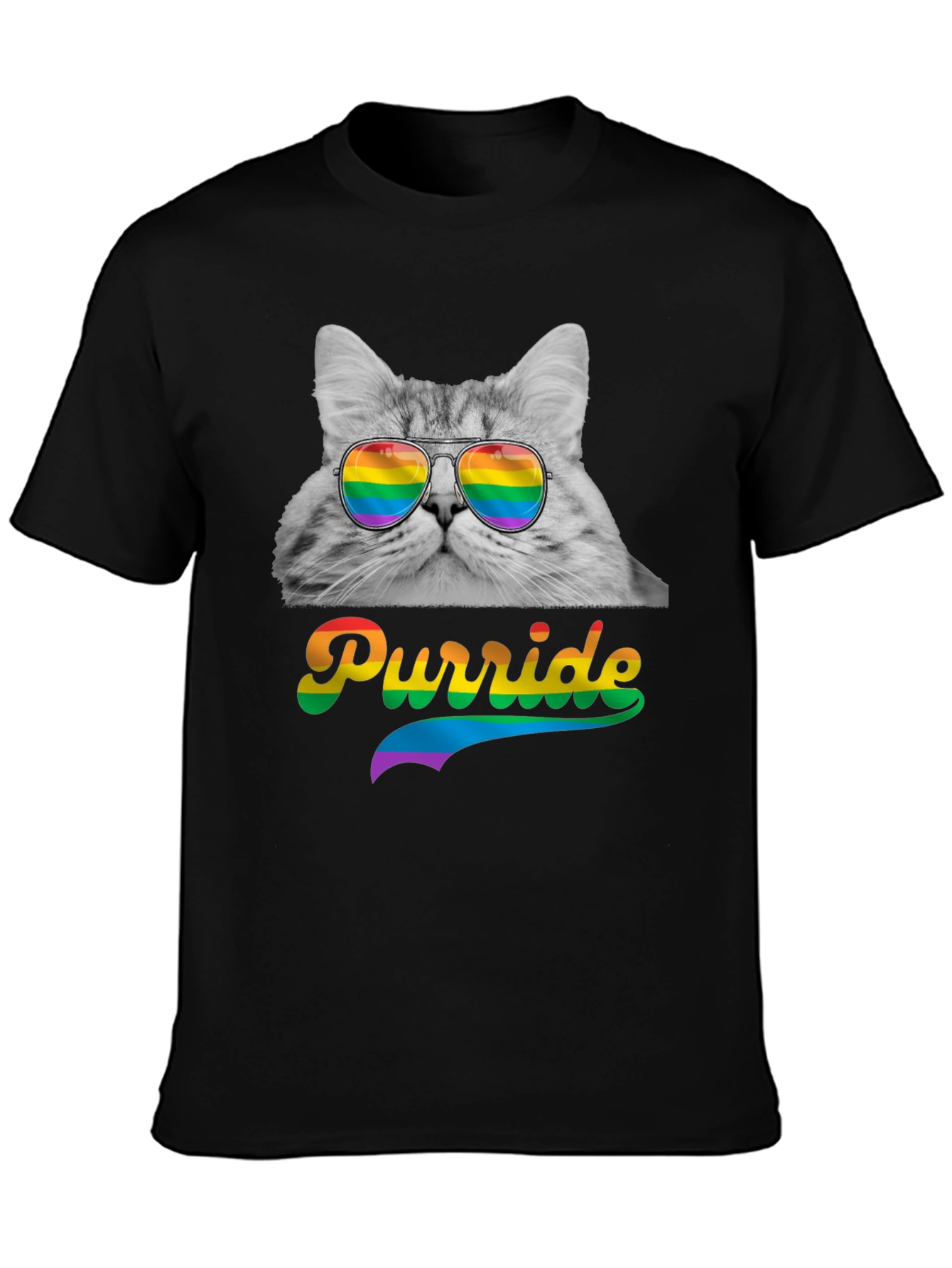 Black Purride Cat T-Shirt LGBT Pride Month view 3