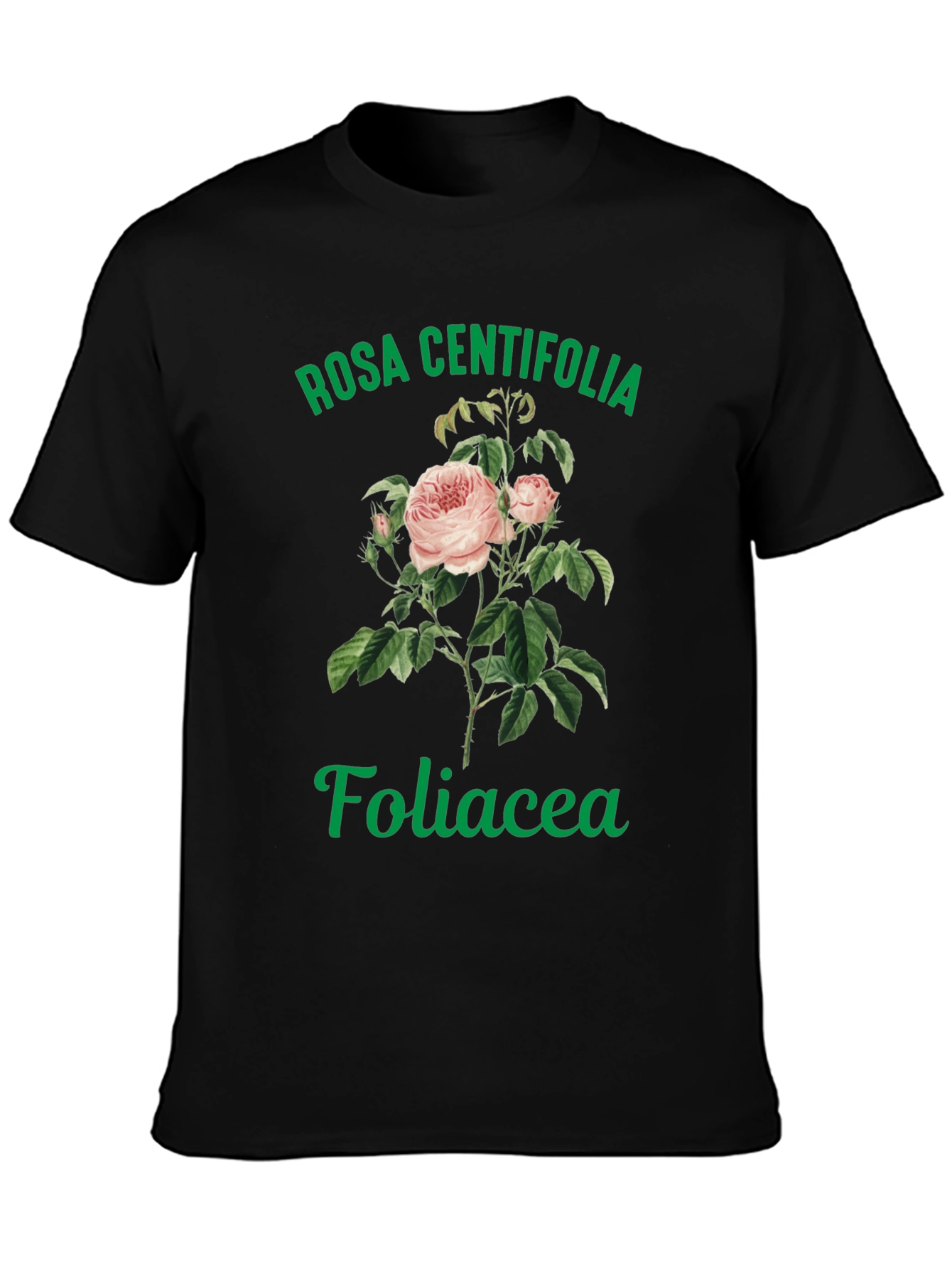 Black Rosa Centifolia Foliacea Graphic Tee view 3