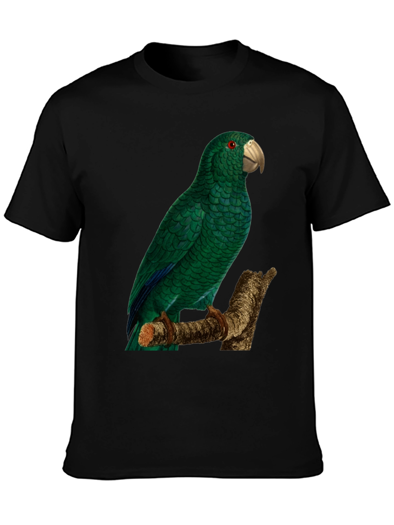 Black Green Parrot Graphic Tee - Nature Lover's Apparel view 3