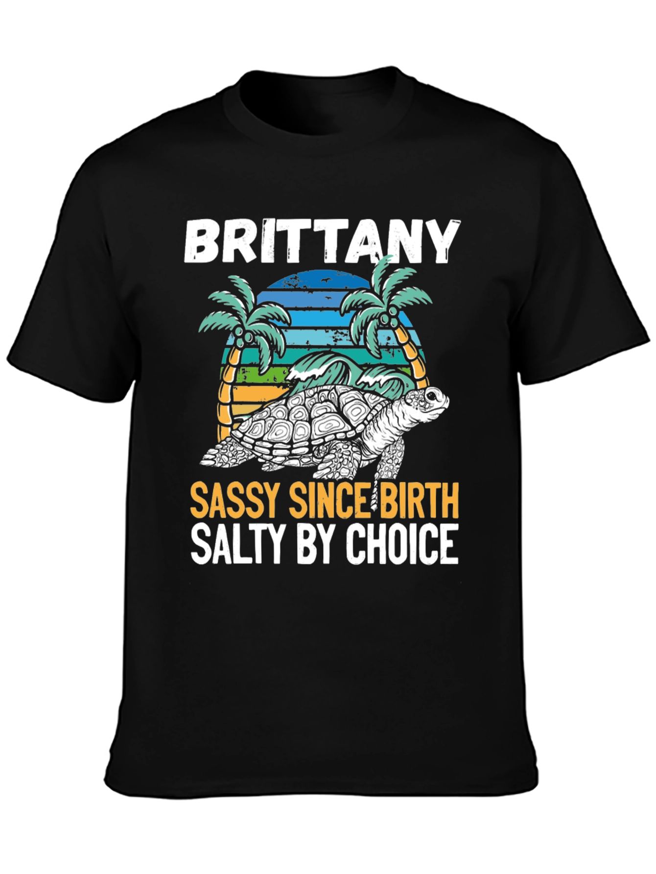 Brittany Turtle Sassy & Salty Graphic Tee - 3
