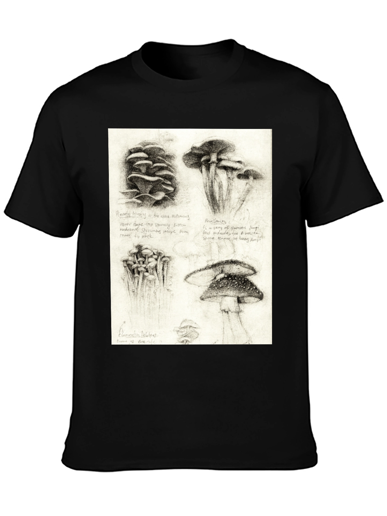 Black Mushroom Sketch Art T-Shirt - Nature Inspired Tee view 3