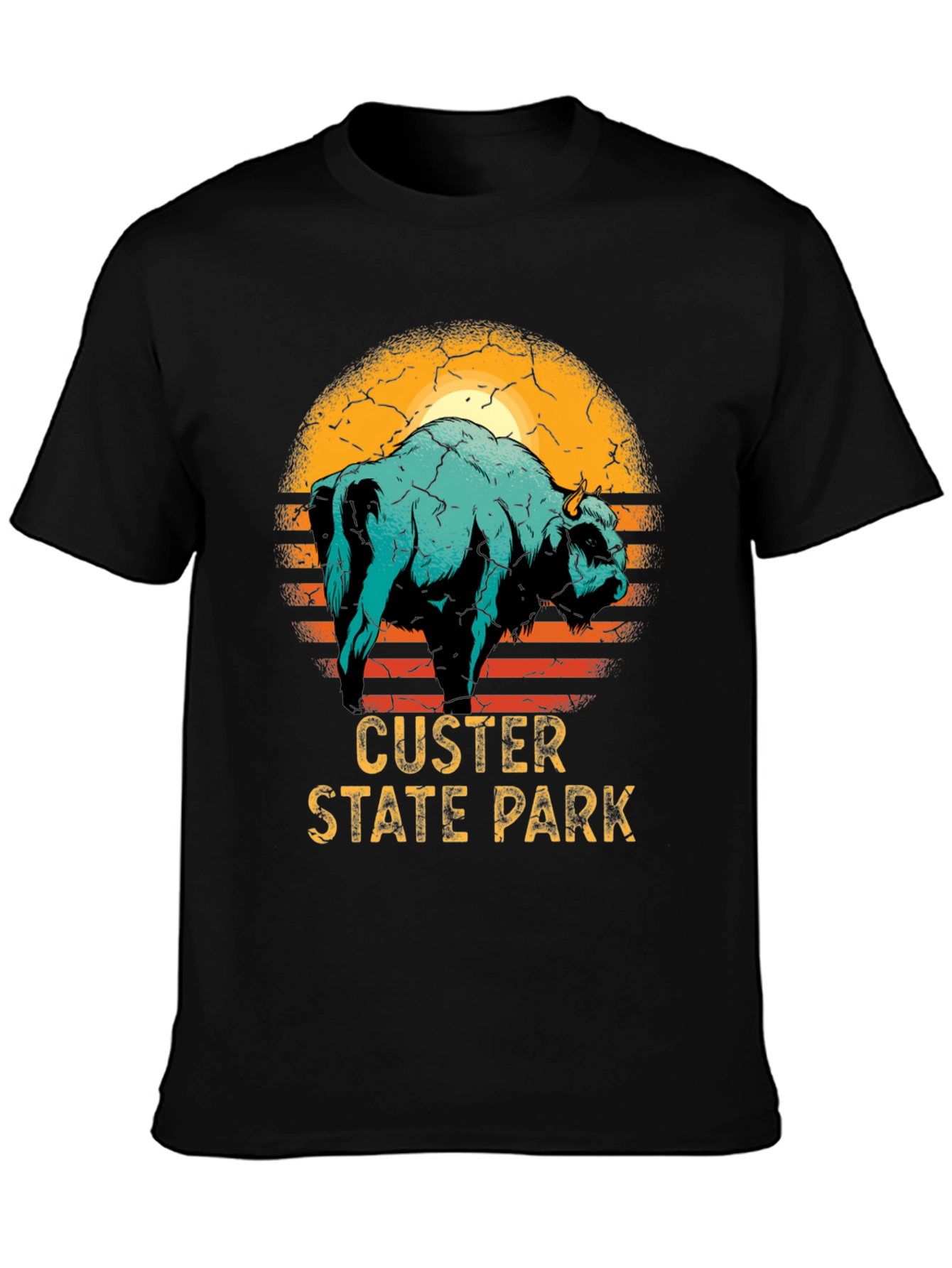 Black Custer State Park Bison Graphic T-Shirt view 3