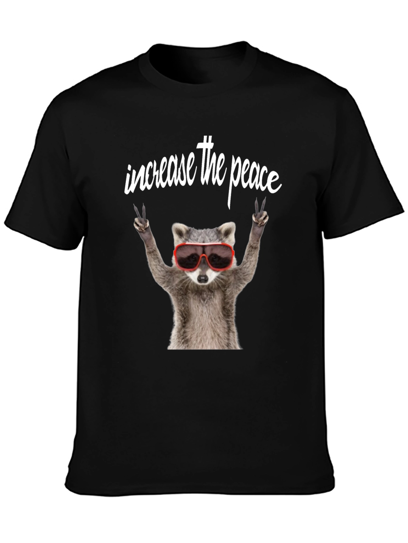 Black Peaceful Raccoon Graphic Tee view 3