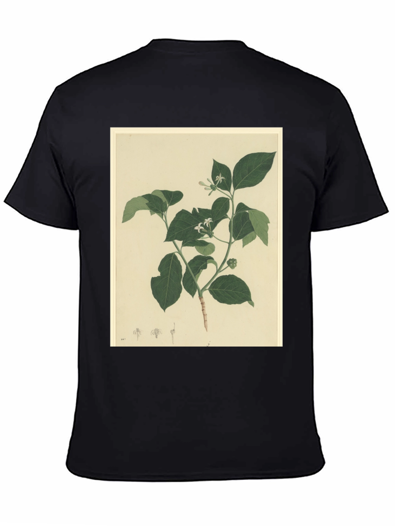 Black Botanical Print Black T-Shirt view 4