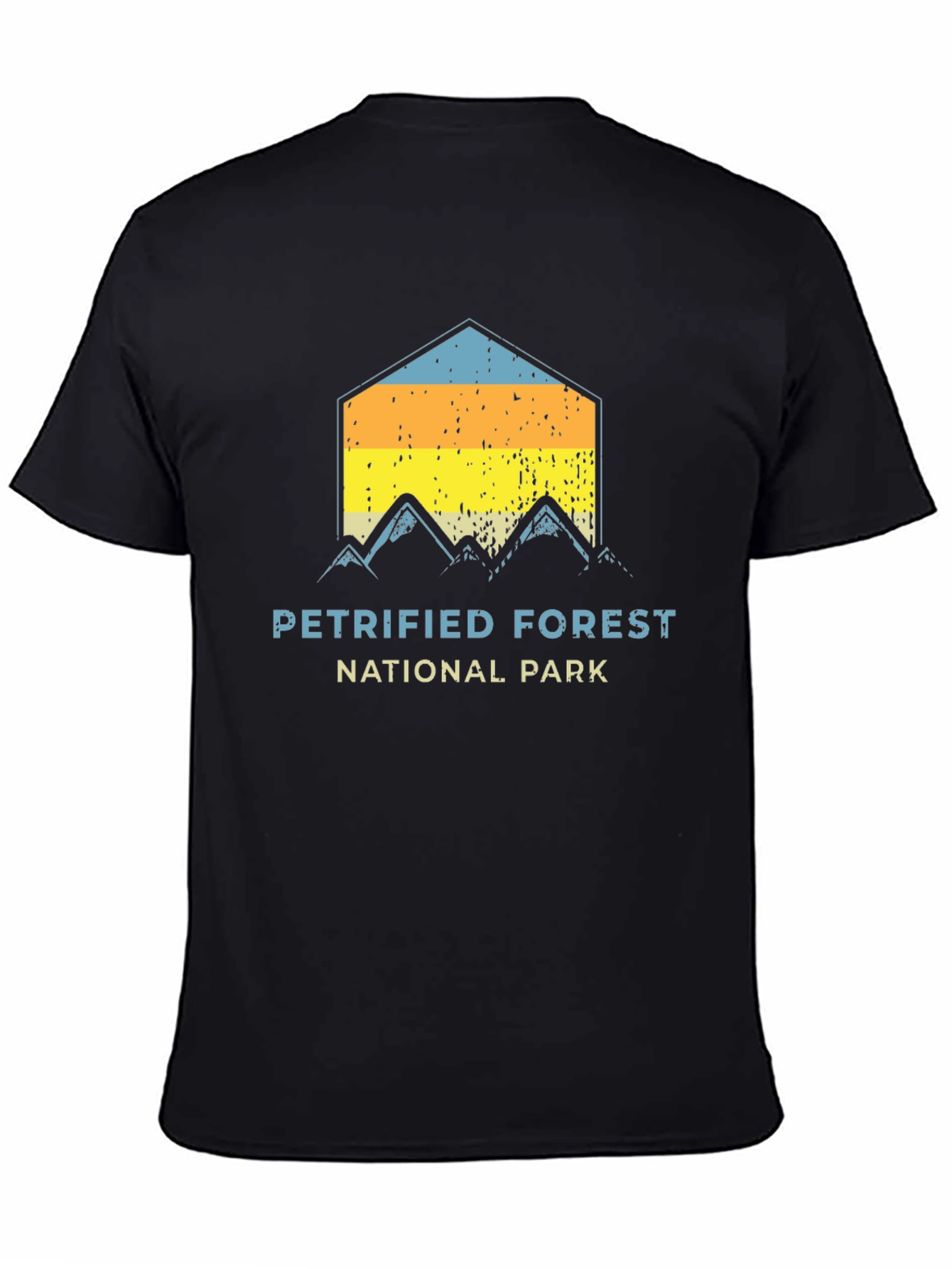 Black Petrified Forest National Park Graphic Tee view 4
