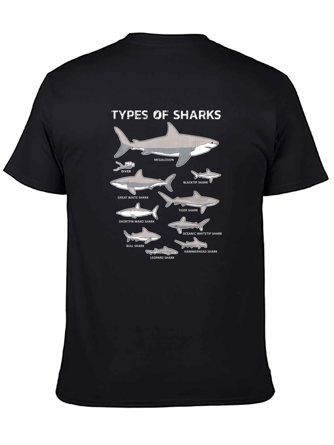 Black Types of Sharks Graphic T-Shirt view 4