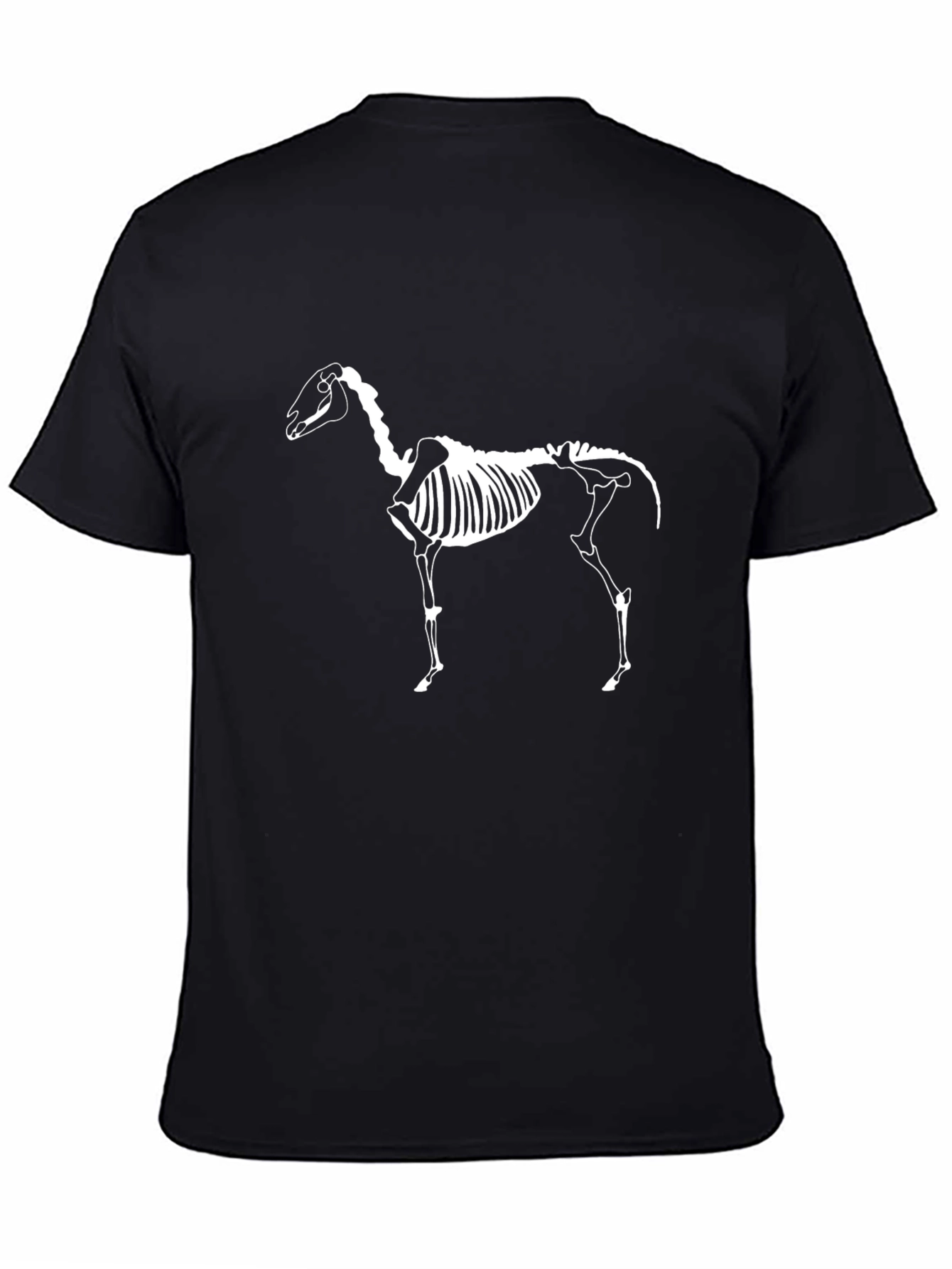Black Skeleton Horse Graphic Tee - Black view 4