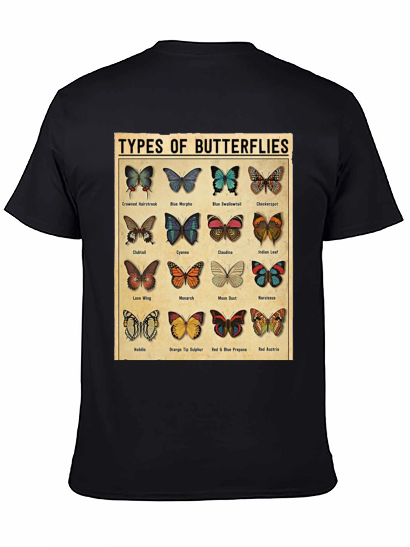 Black Butterfly Types Graphic T-Shirt view 4