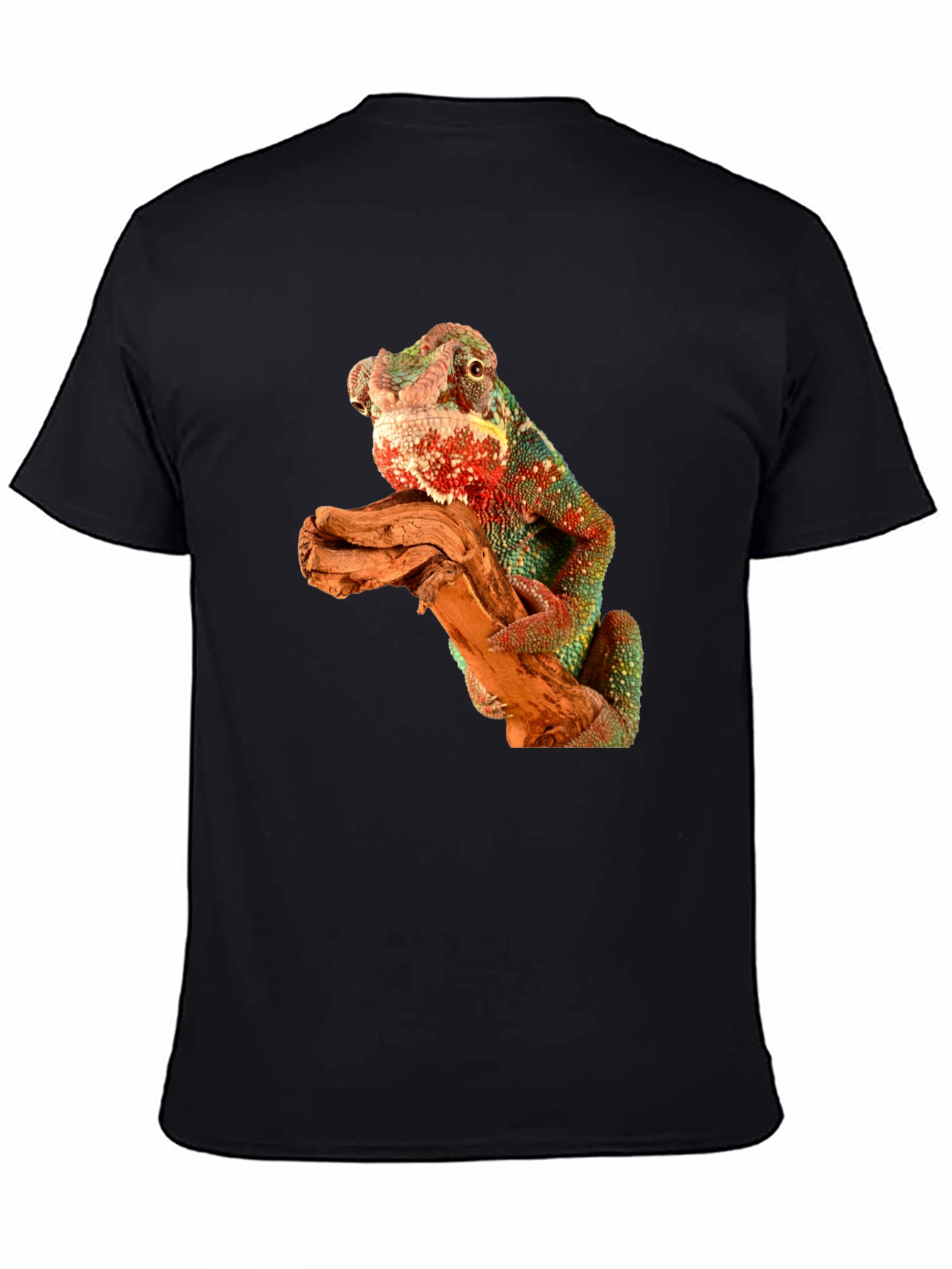 Black Chameleon Graphic Tee view 4
