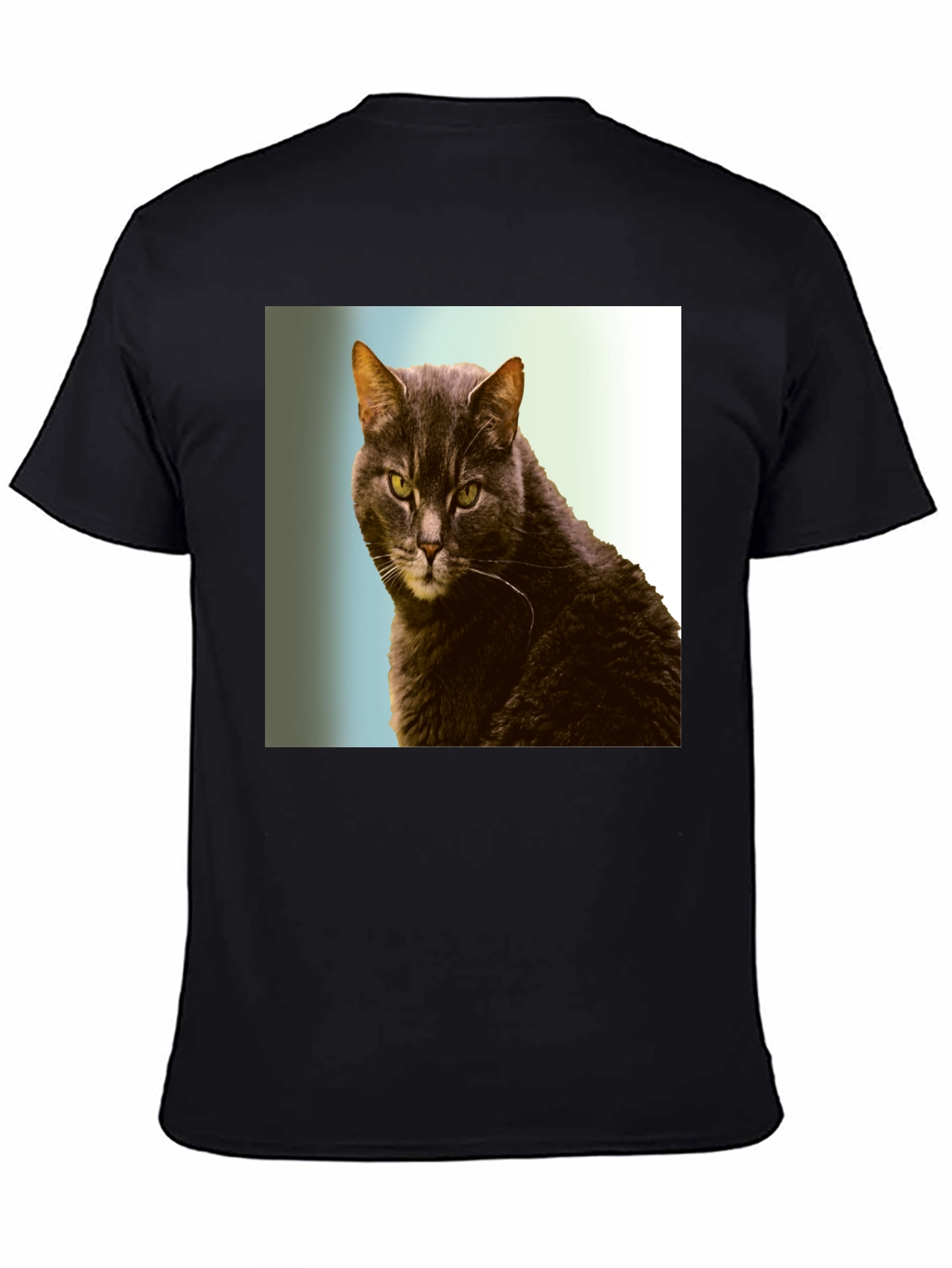 Black Cool Cat Graphic Tee - Black Cotton Shirt view 4