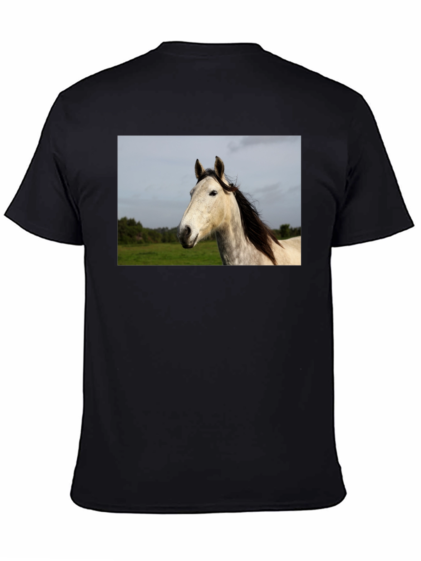 Black Horse Graphic Print Black T-Shirt view 4