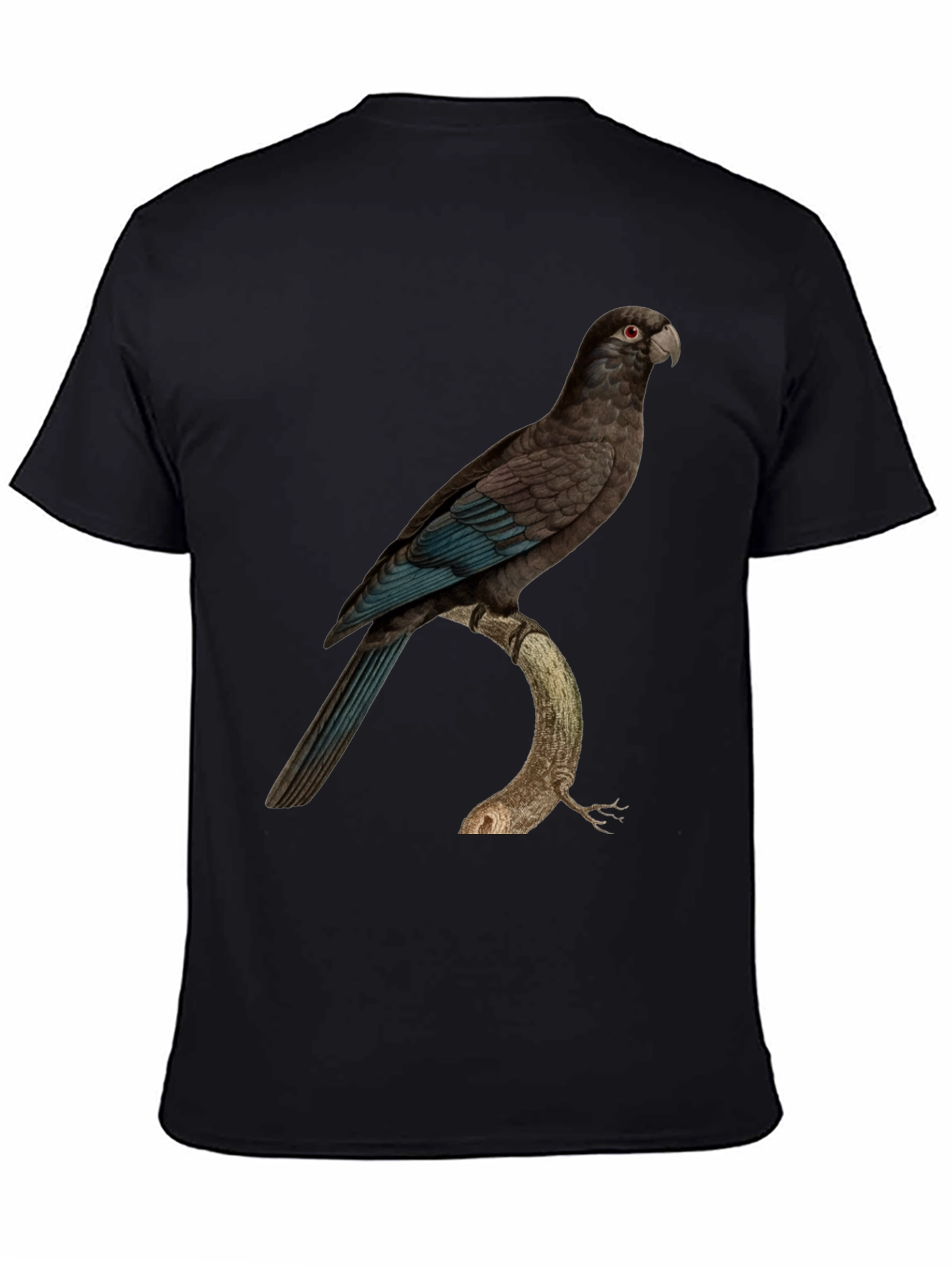 Black Parrot Graphic Print Black T-Shirt view 4