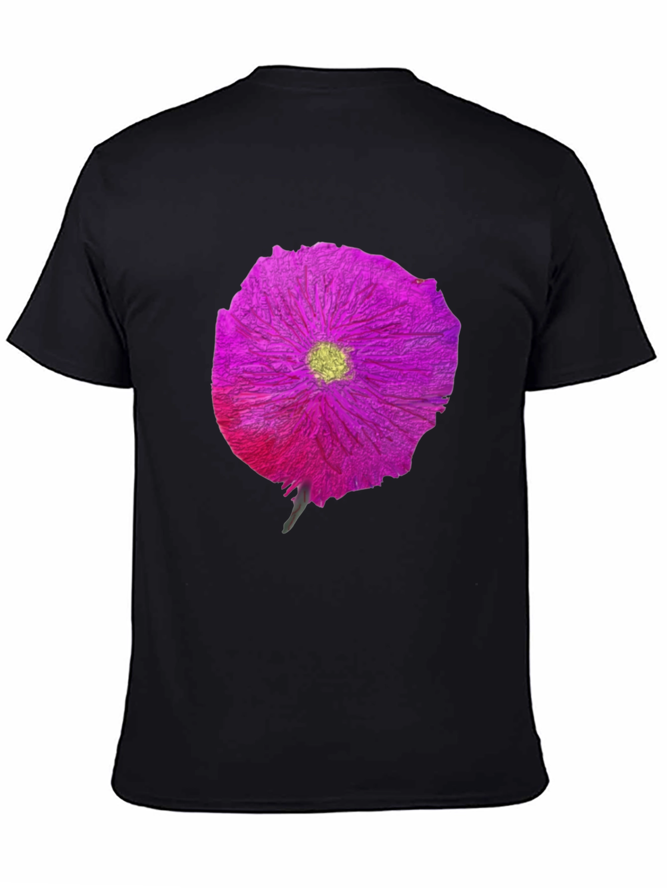 Black Floral Print Crew Neck T-Shirt view 4