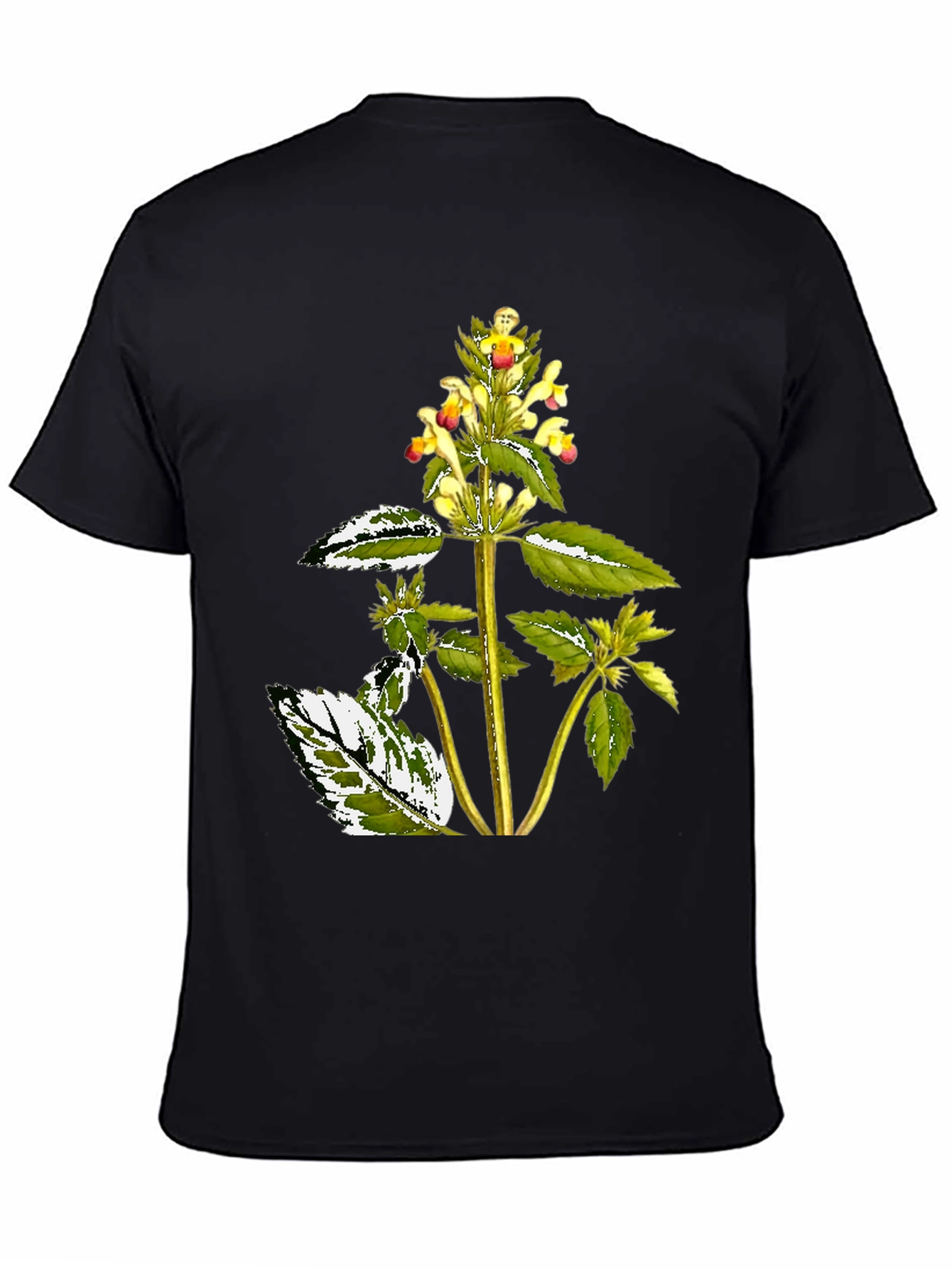 Black Botanical Graphic Black Tee view 4