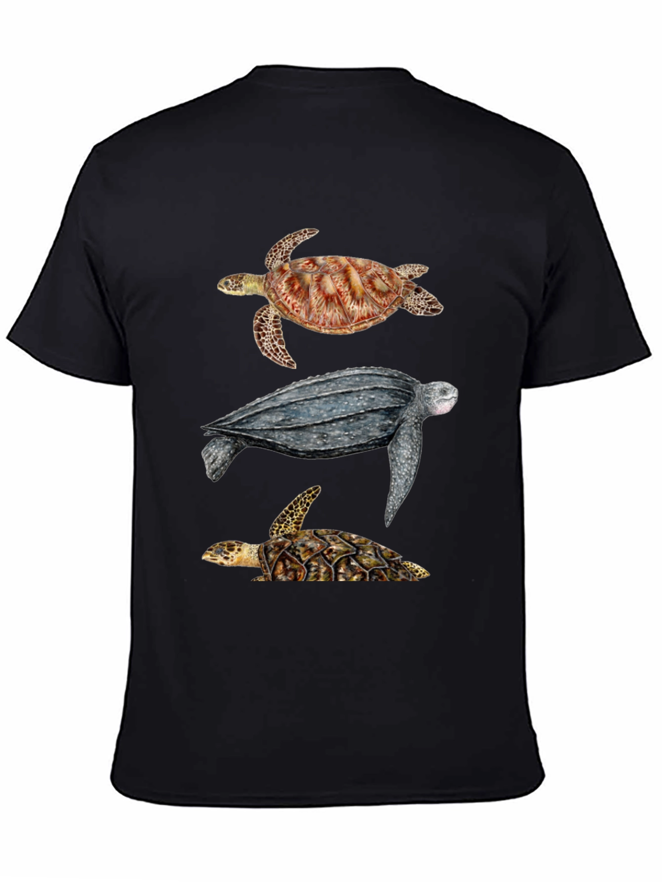 Black Turtle T-Shirt - Sea Life Graphic Tee view 4